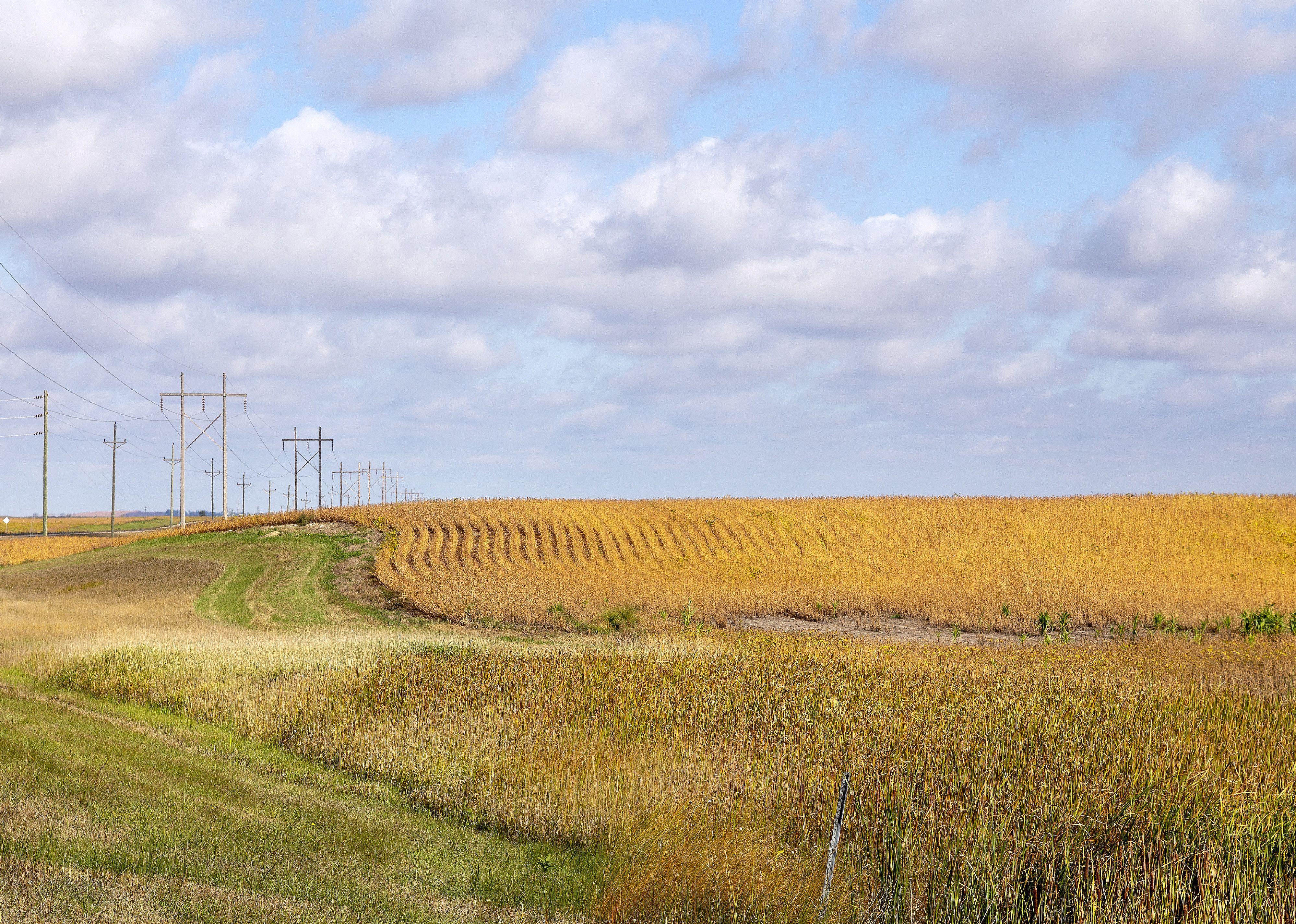 #12. Stutsman County