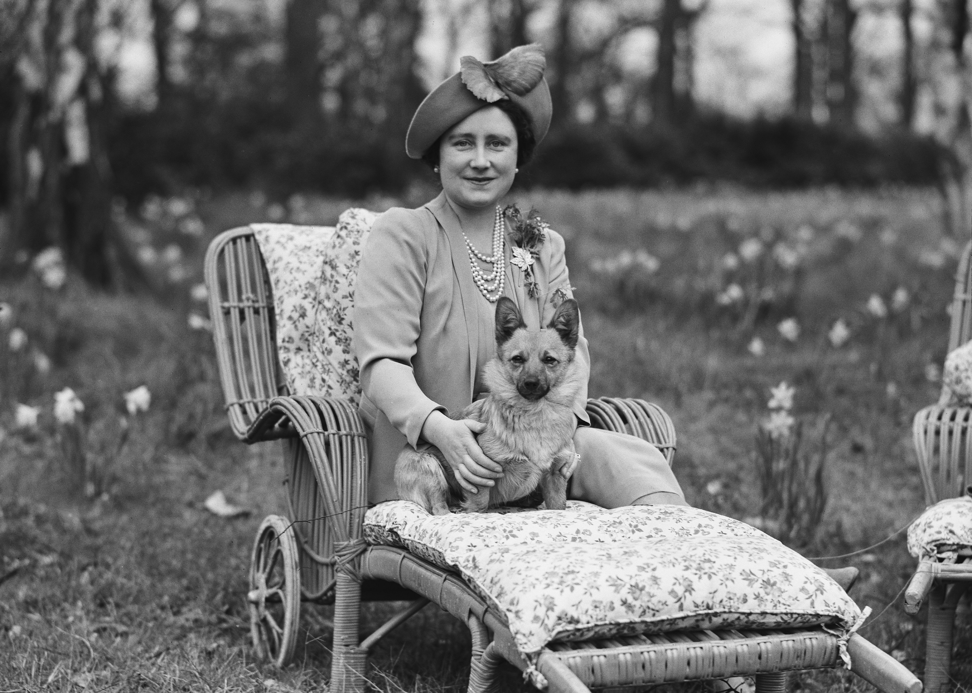 #15. Pembroke Welsh corgi