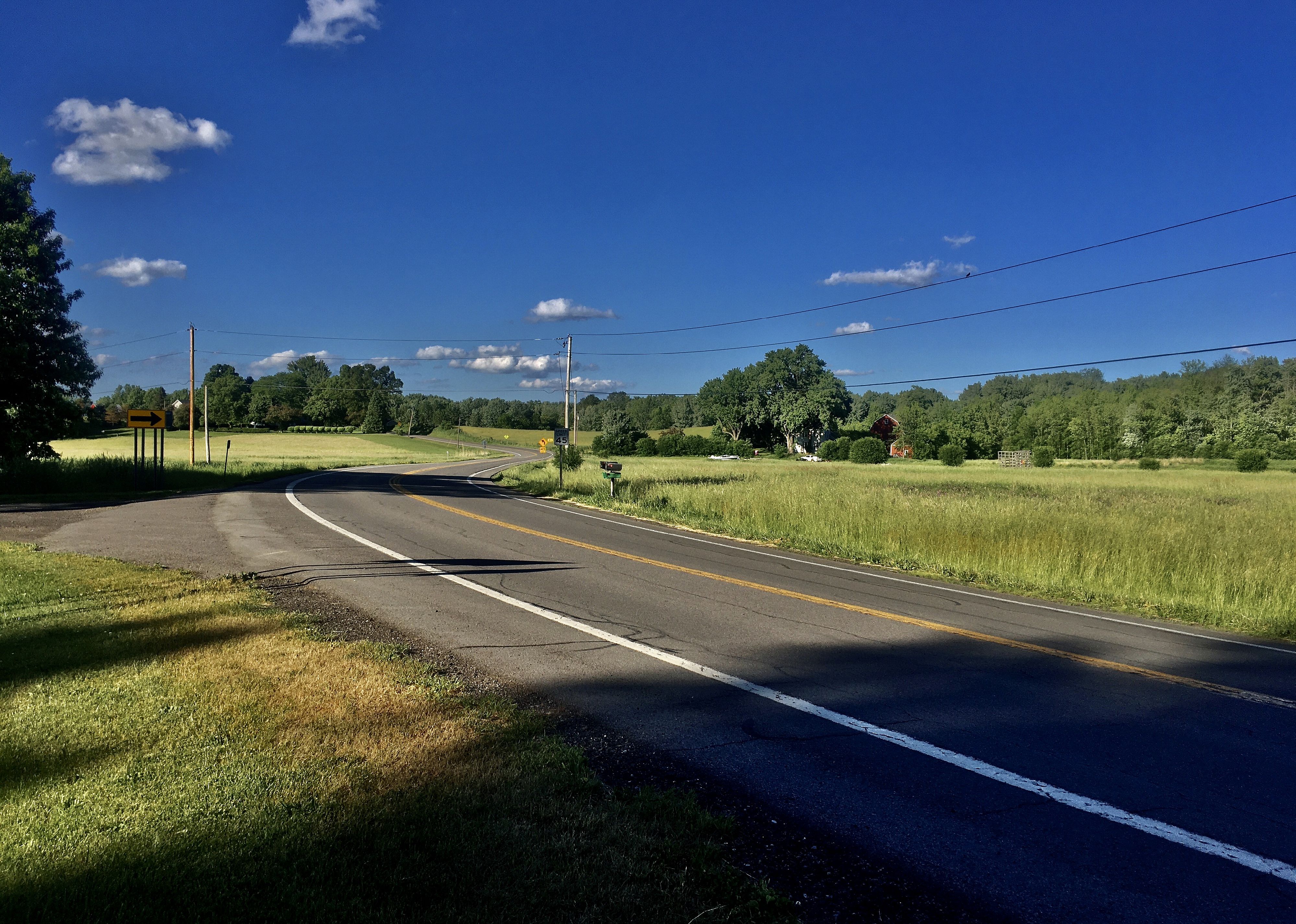 #27. Wayne County