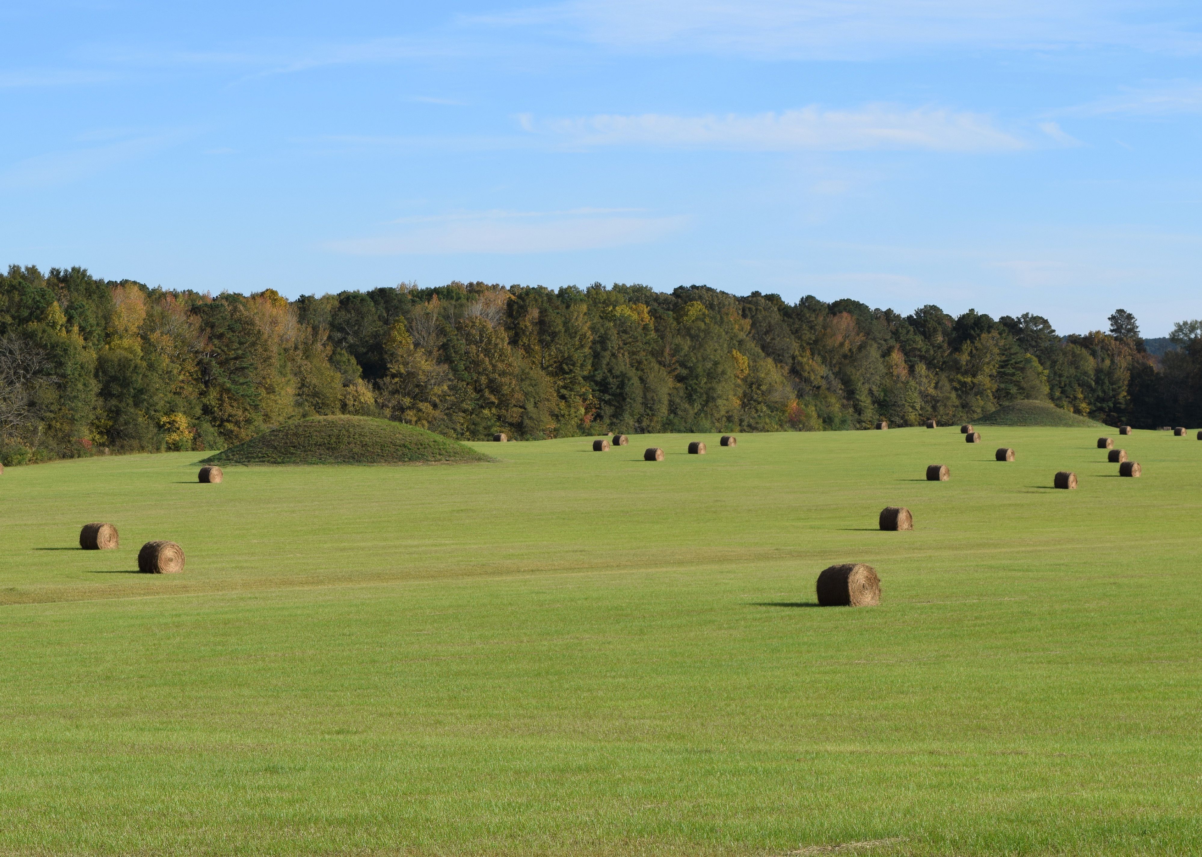 #8. Itawamba County