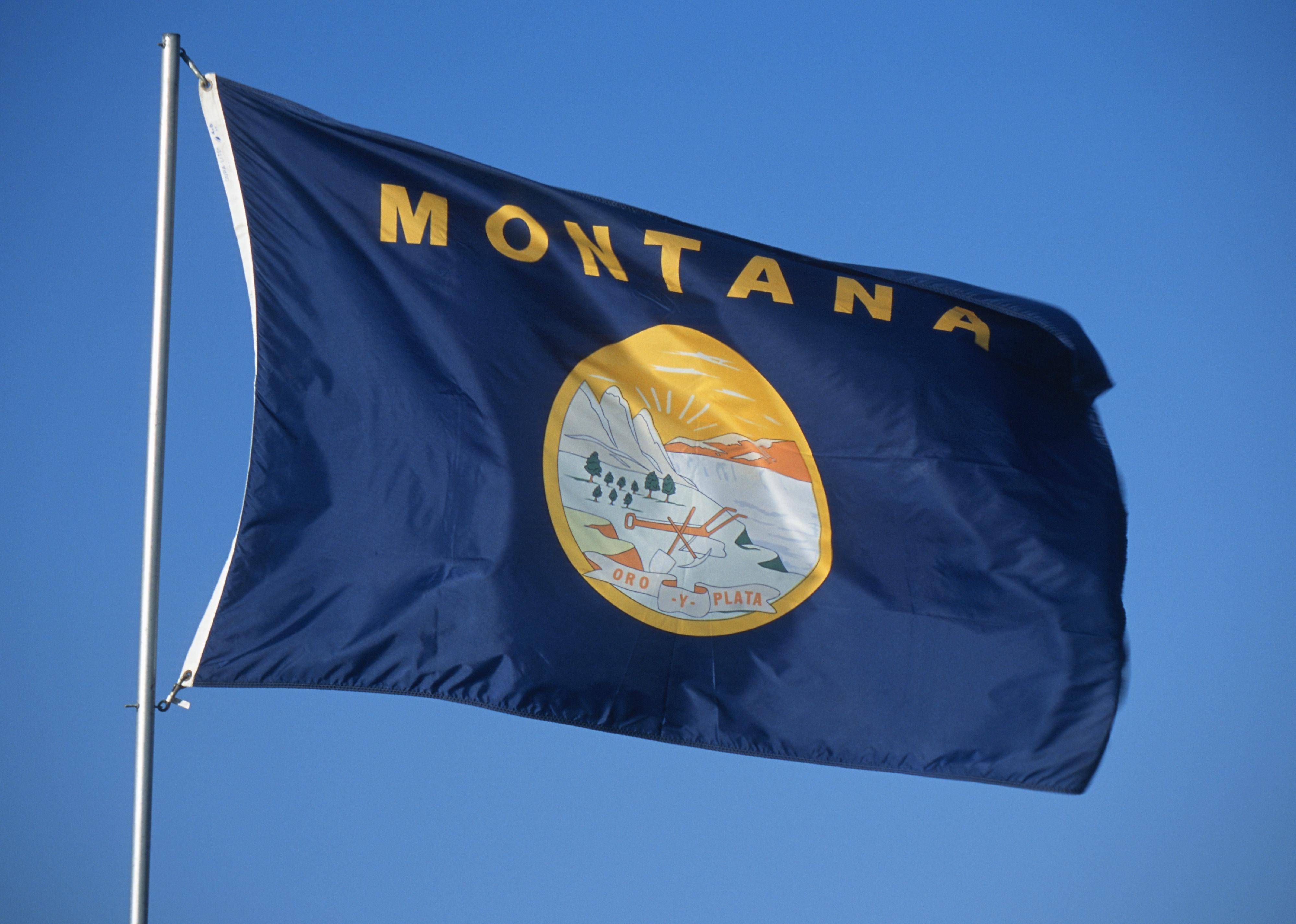 Flag #26