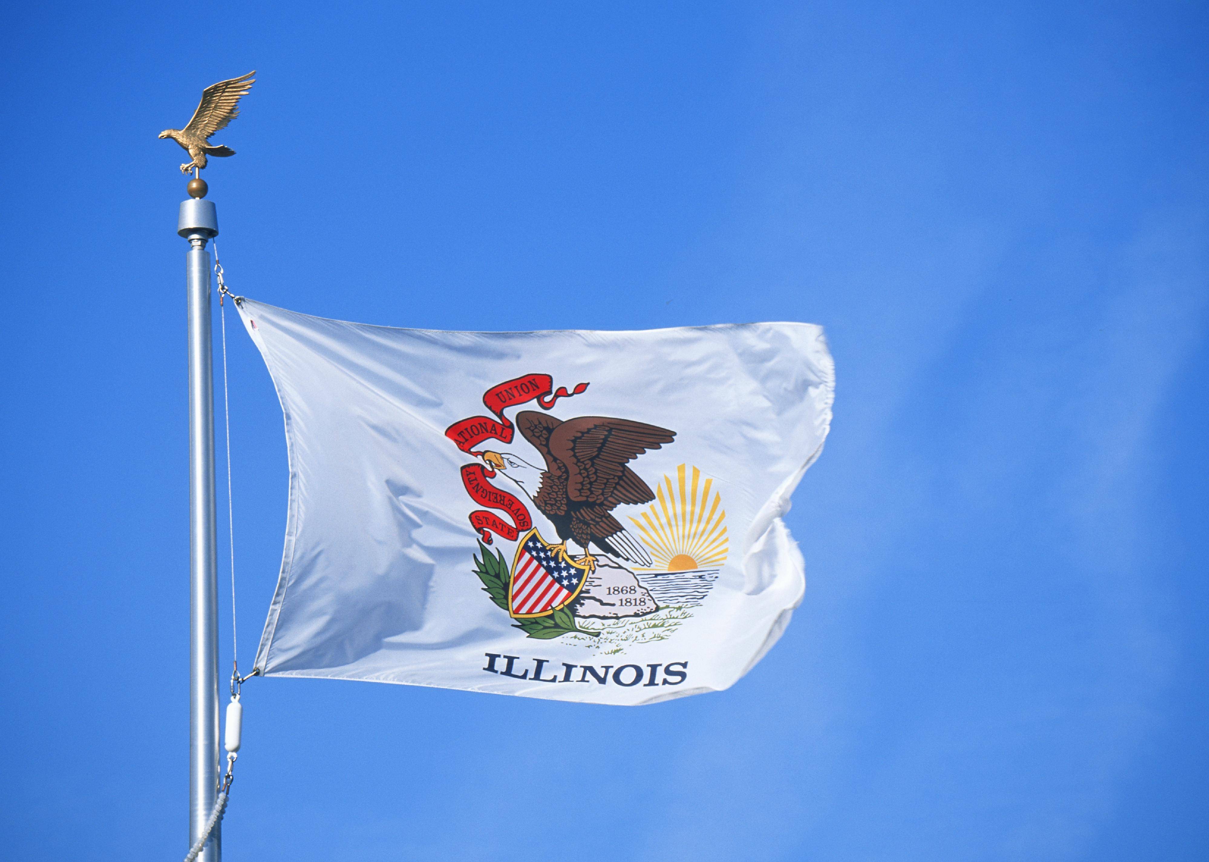 Flag #13