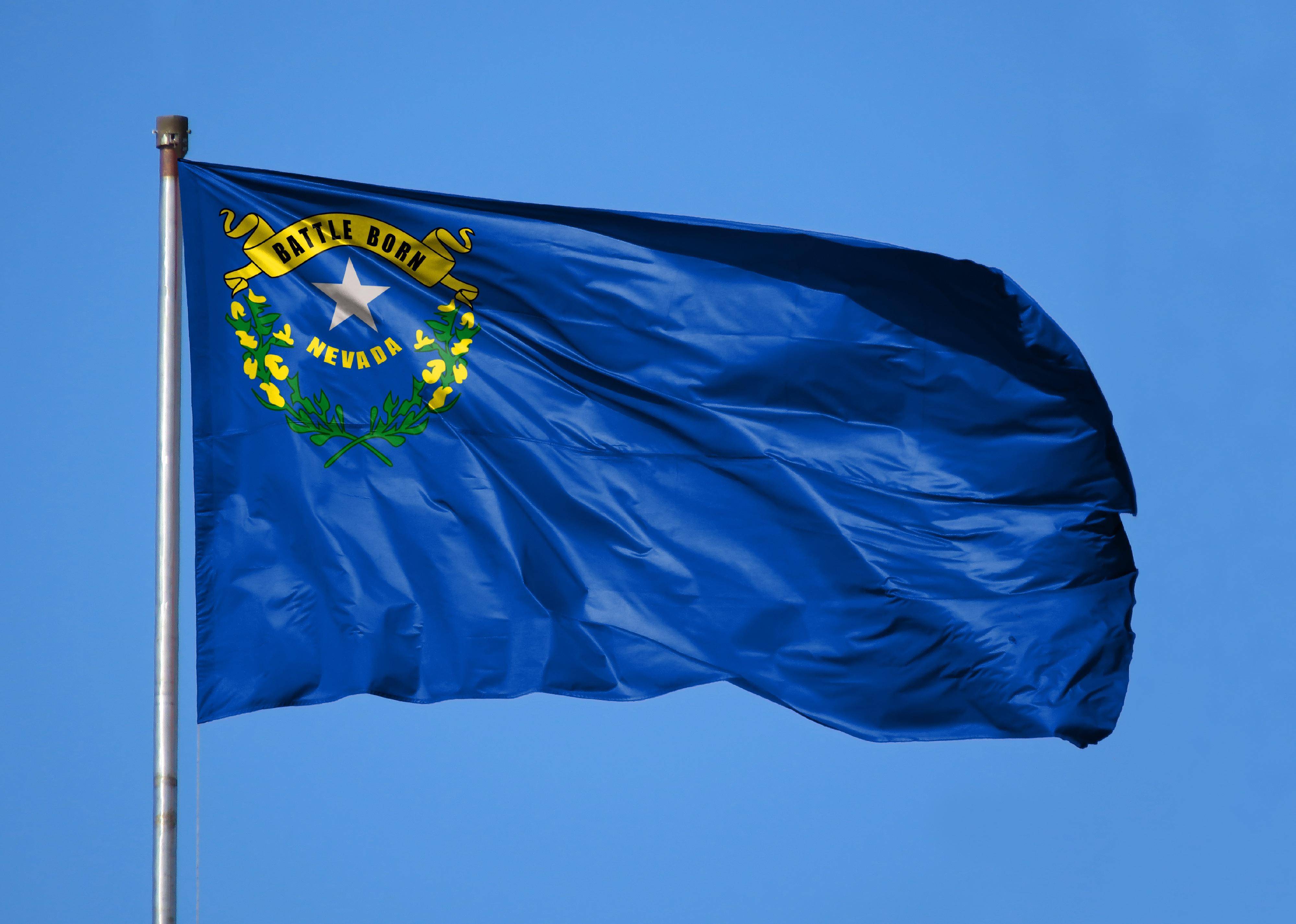 Flag #28