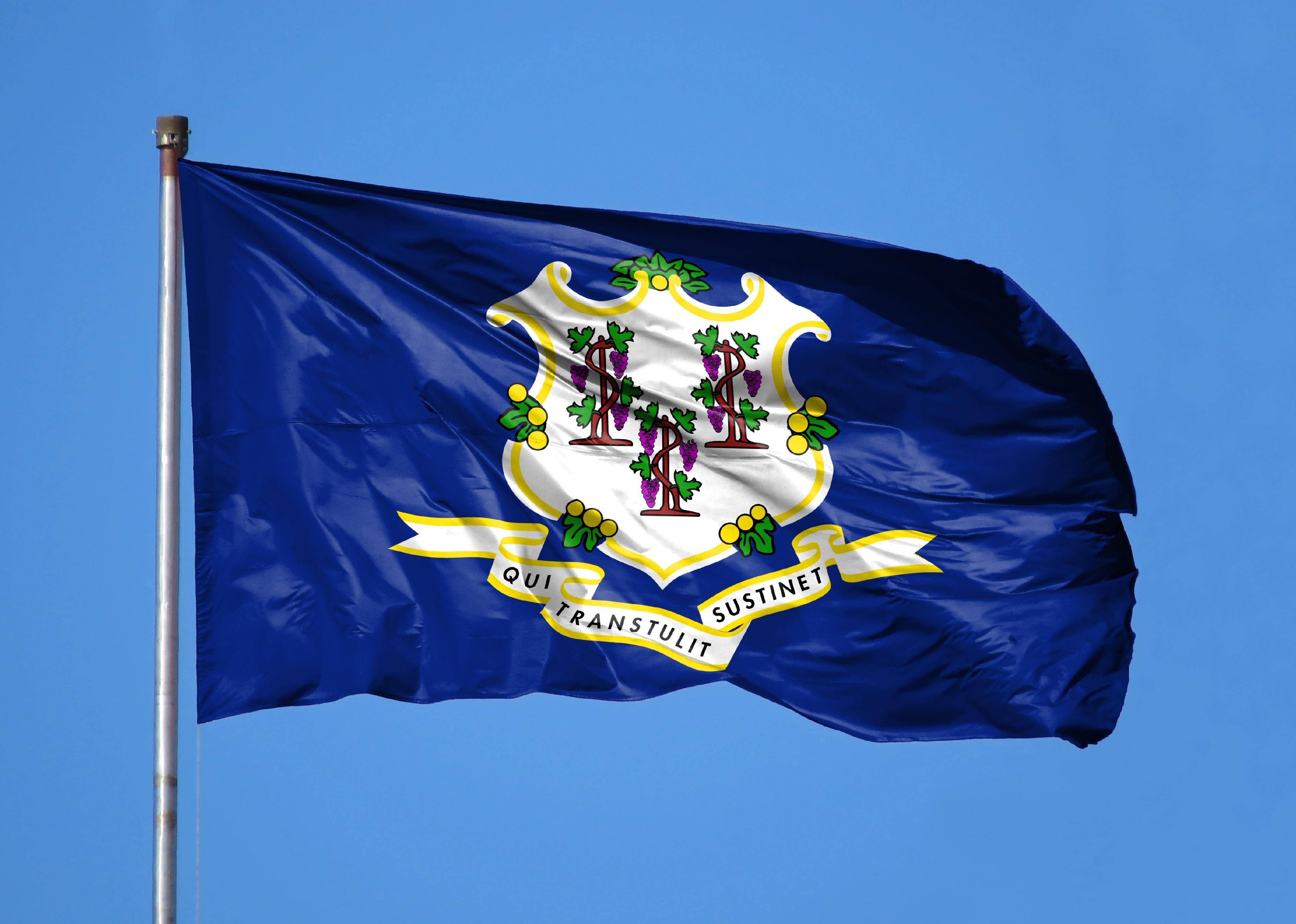 Flag #7