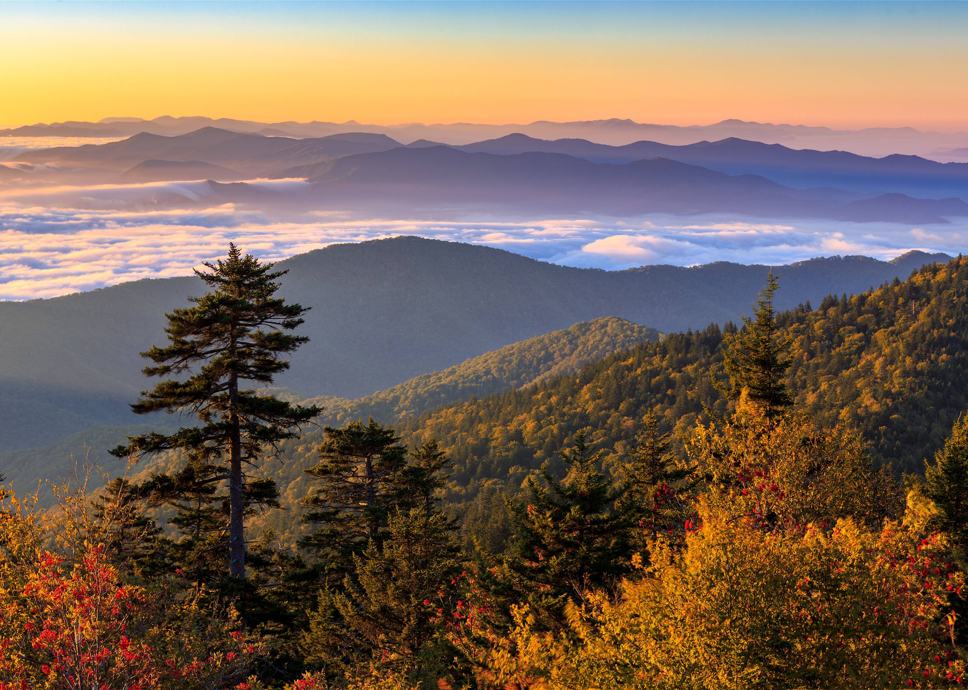 Tennessee