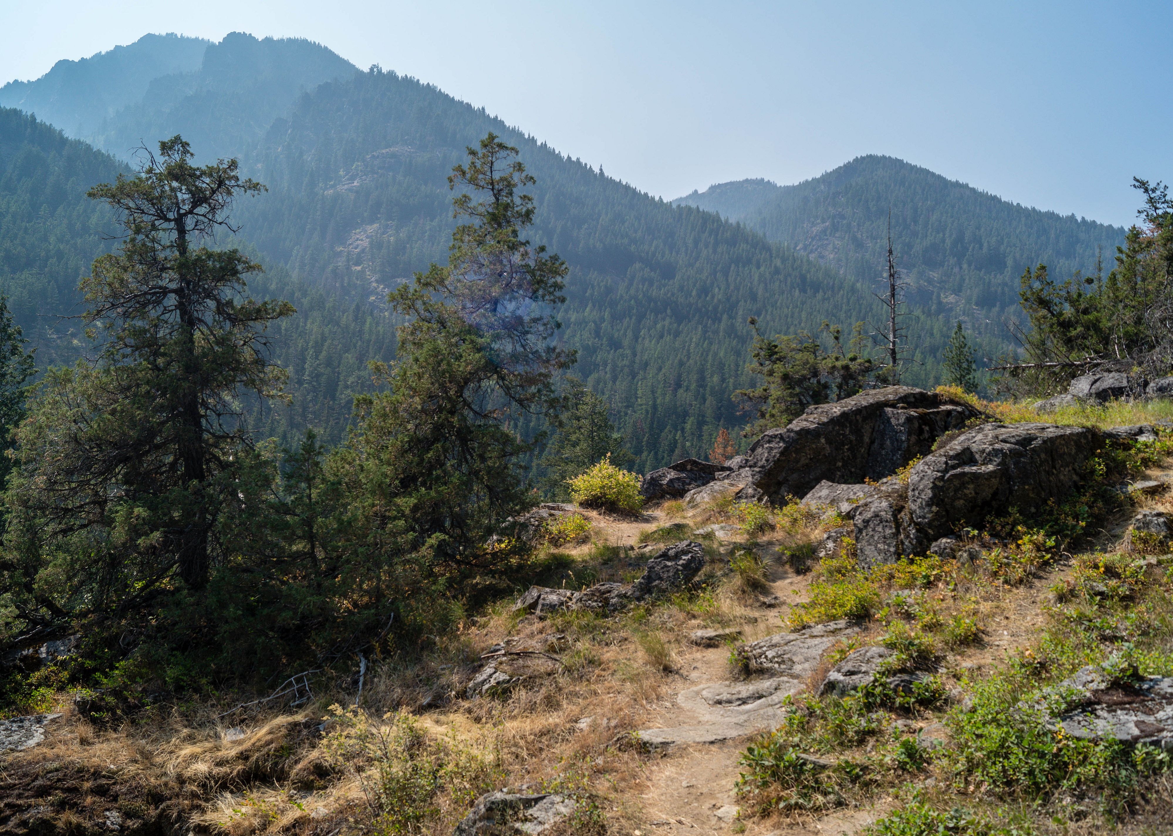 Wallowa Whitman National Forest