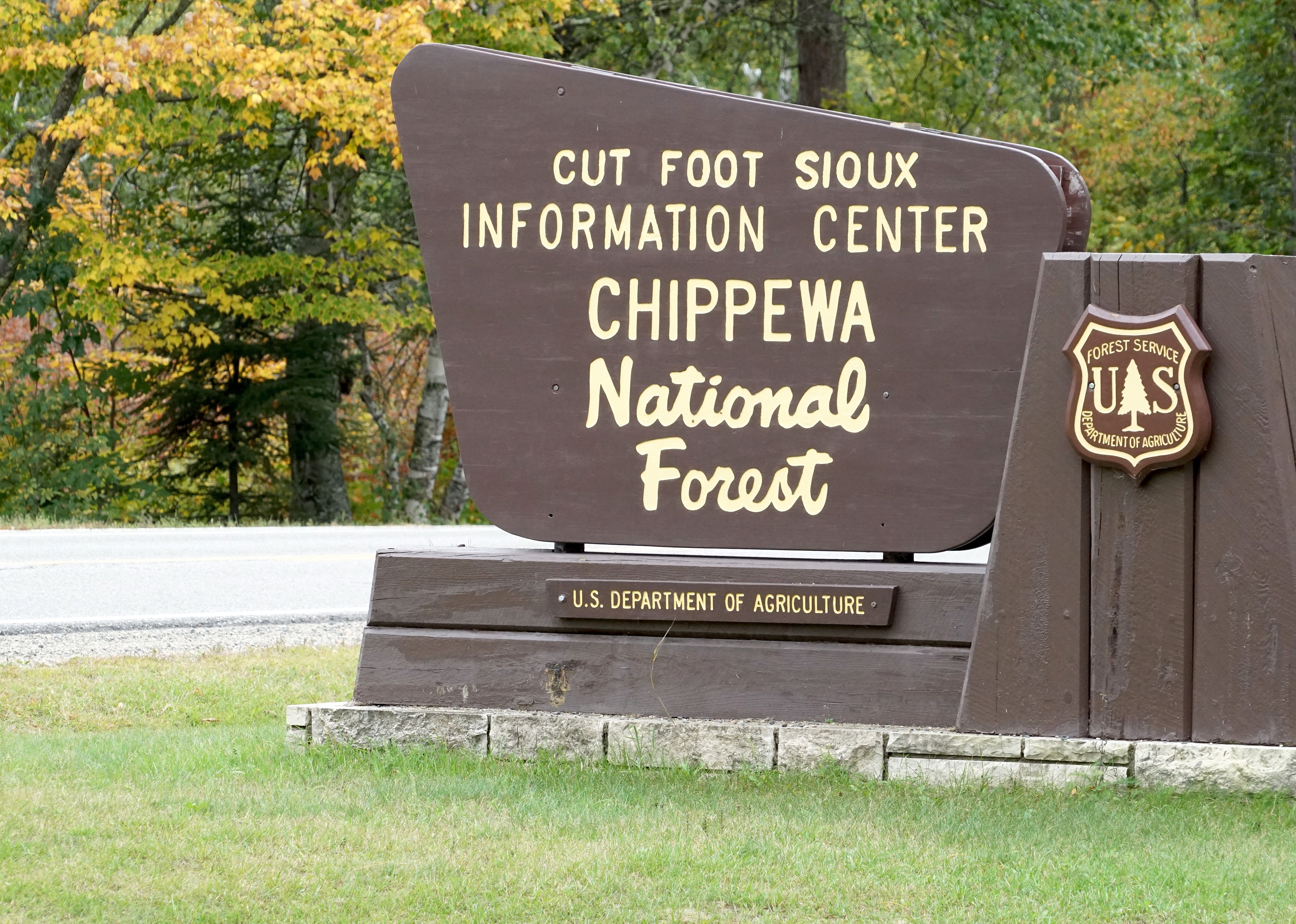 Chippewa National Forest