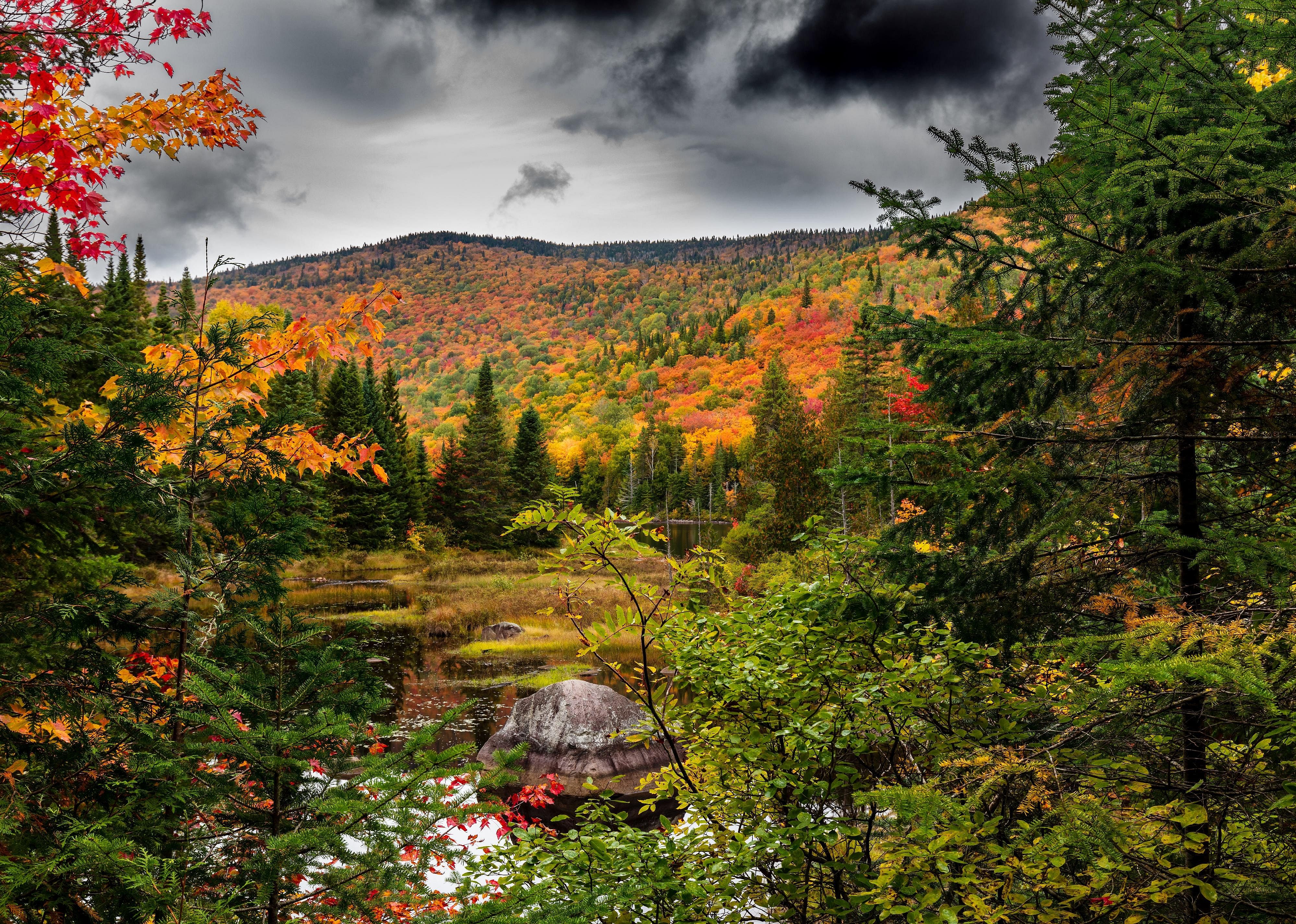 #47. Laurentides, Quebec