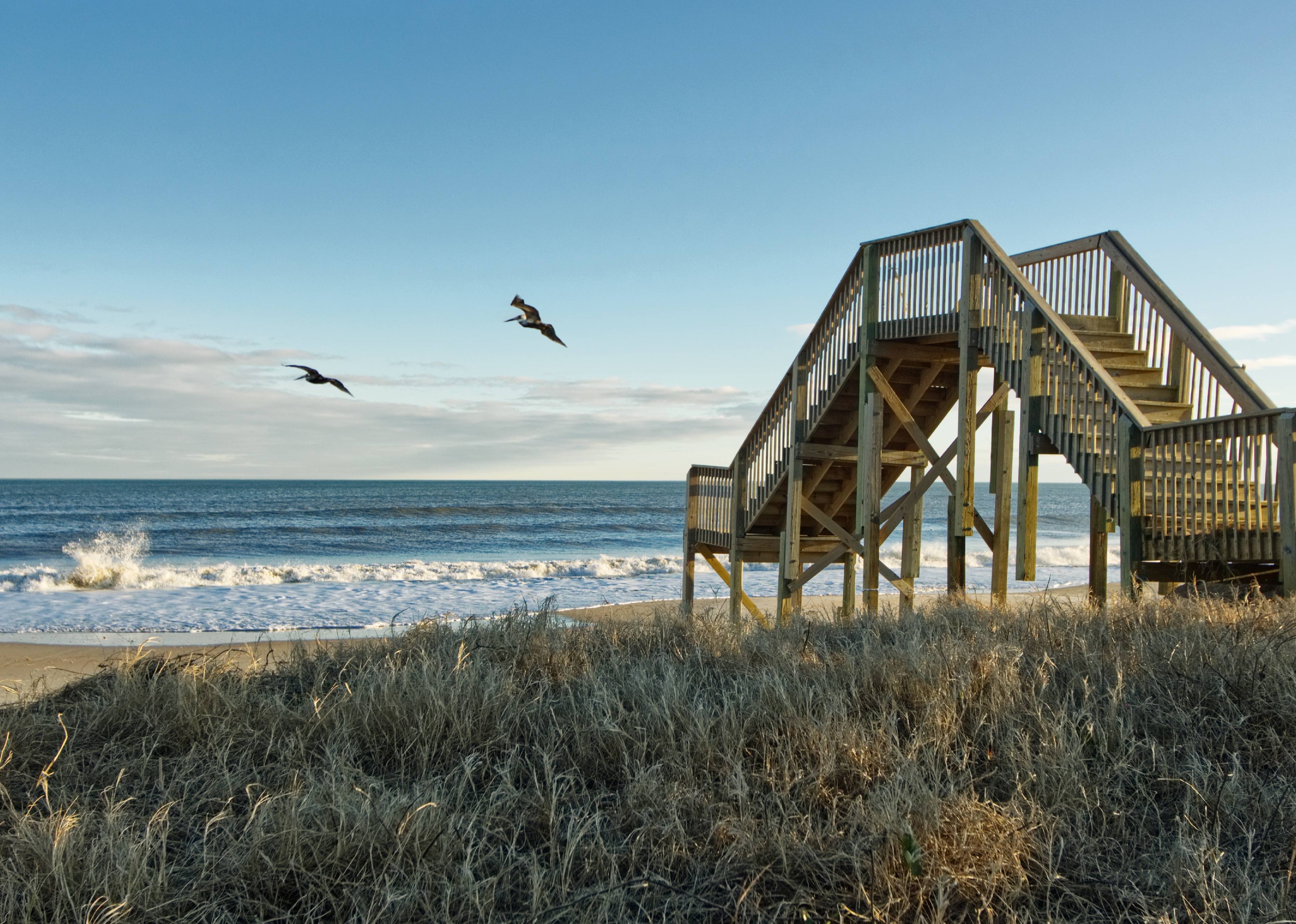 Birds flying over a pier in Jacksonville, NC