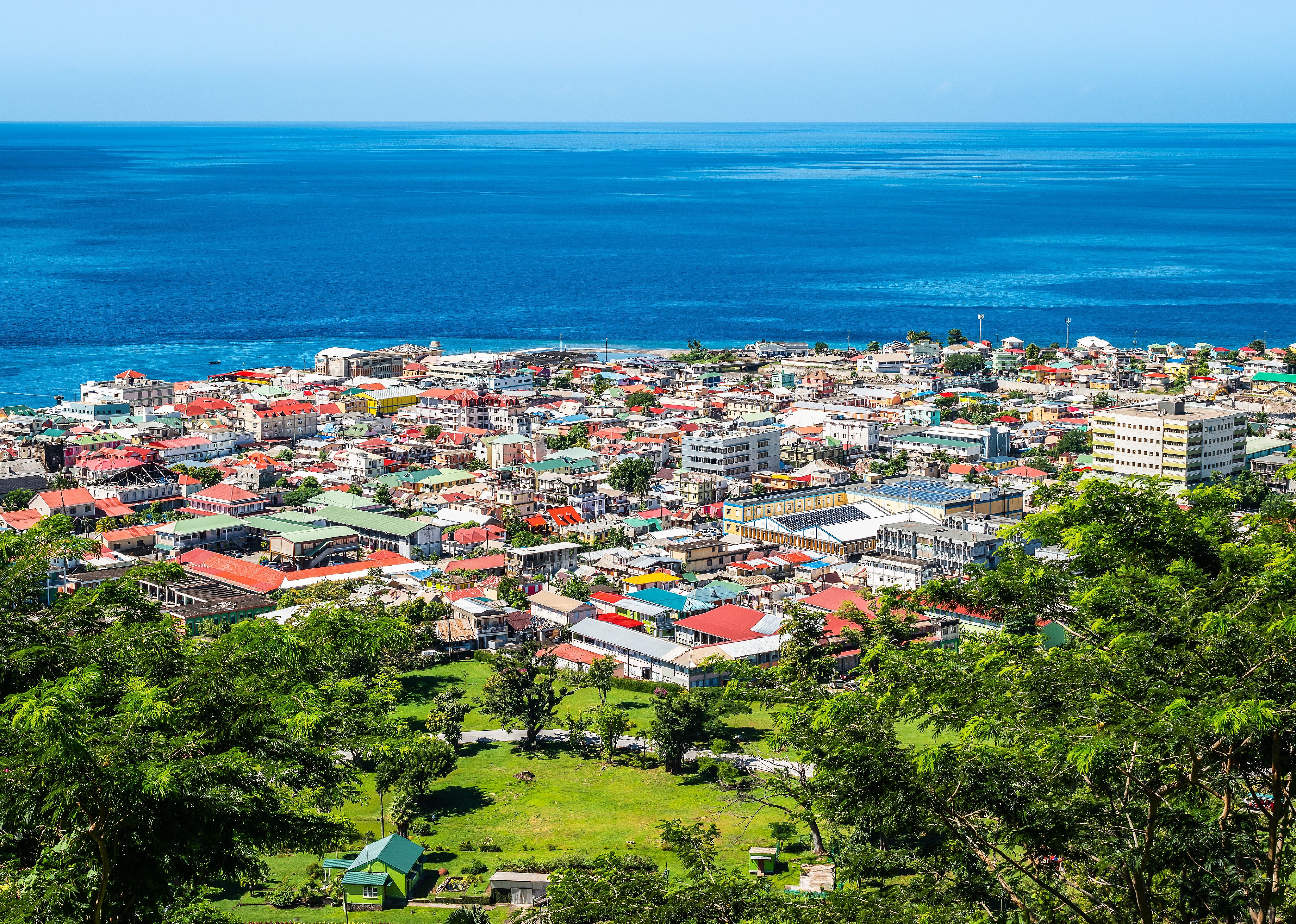 #100. Dominica