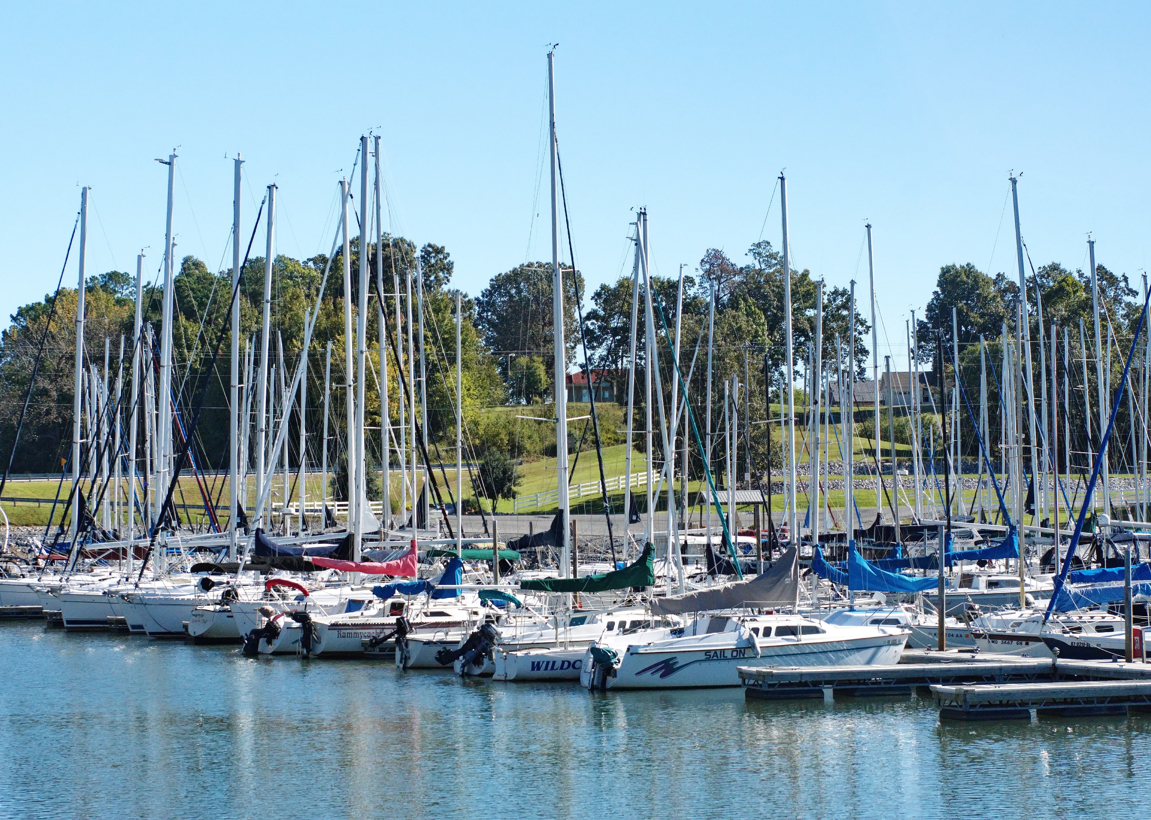 Sailboat marina on the bank of the Ohio River.