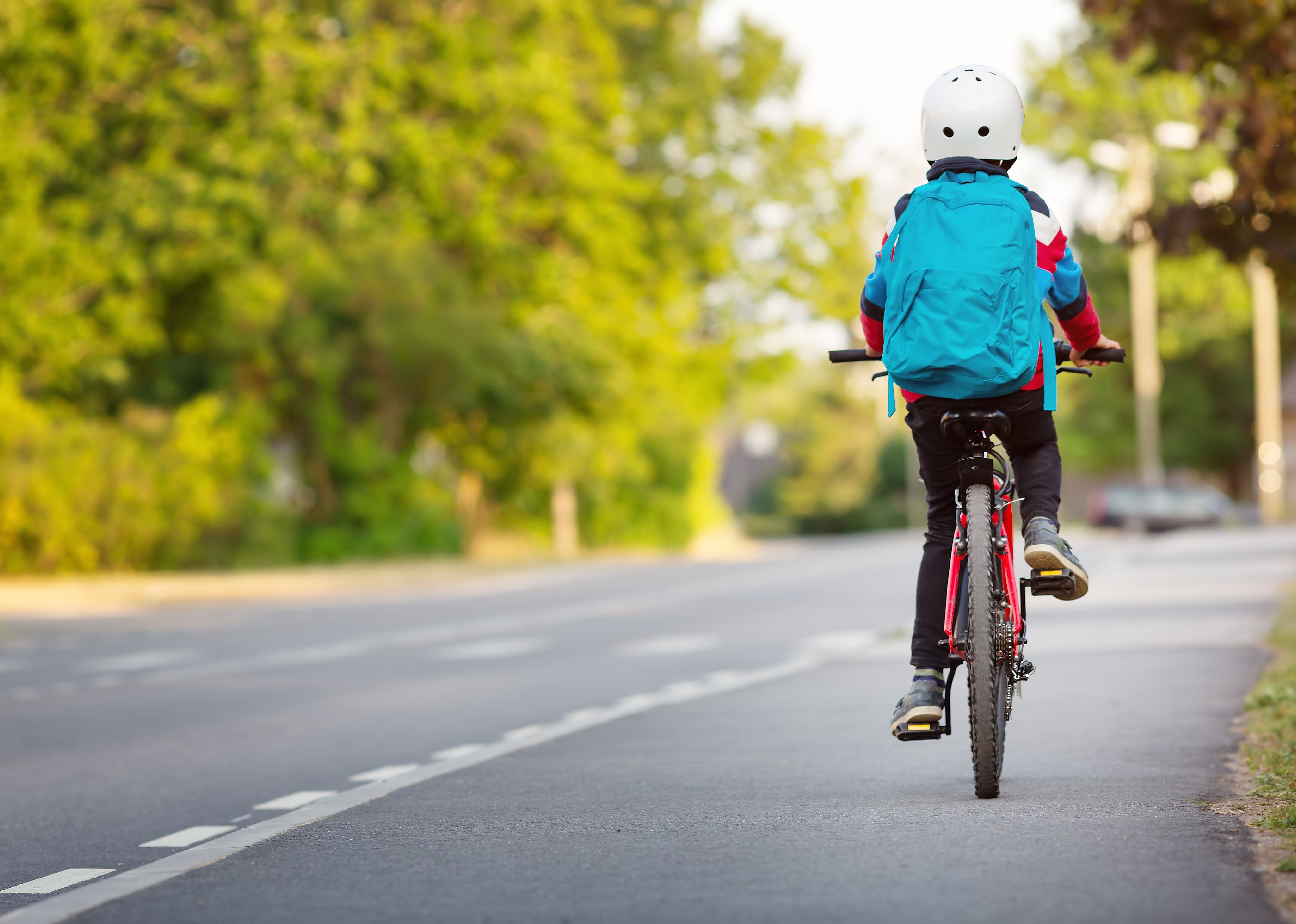 #2. Bicycles and accessories (excluding mountain or all-terrain)
