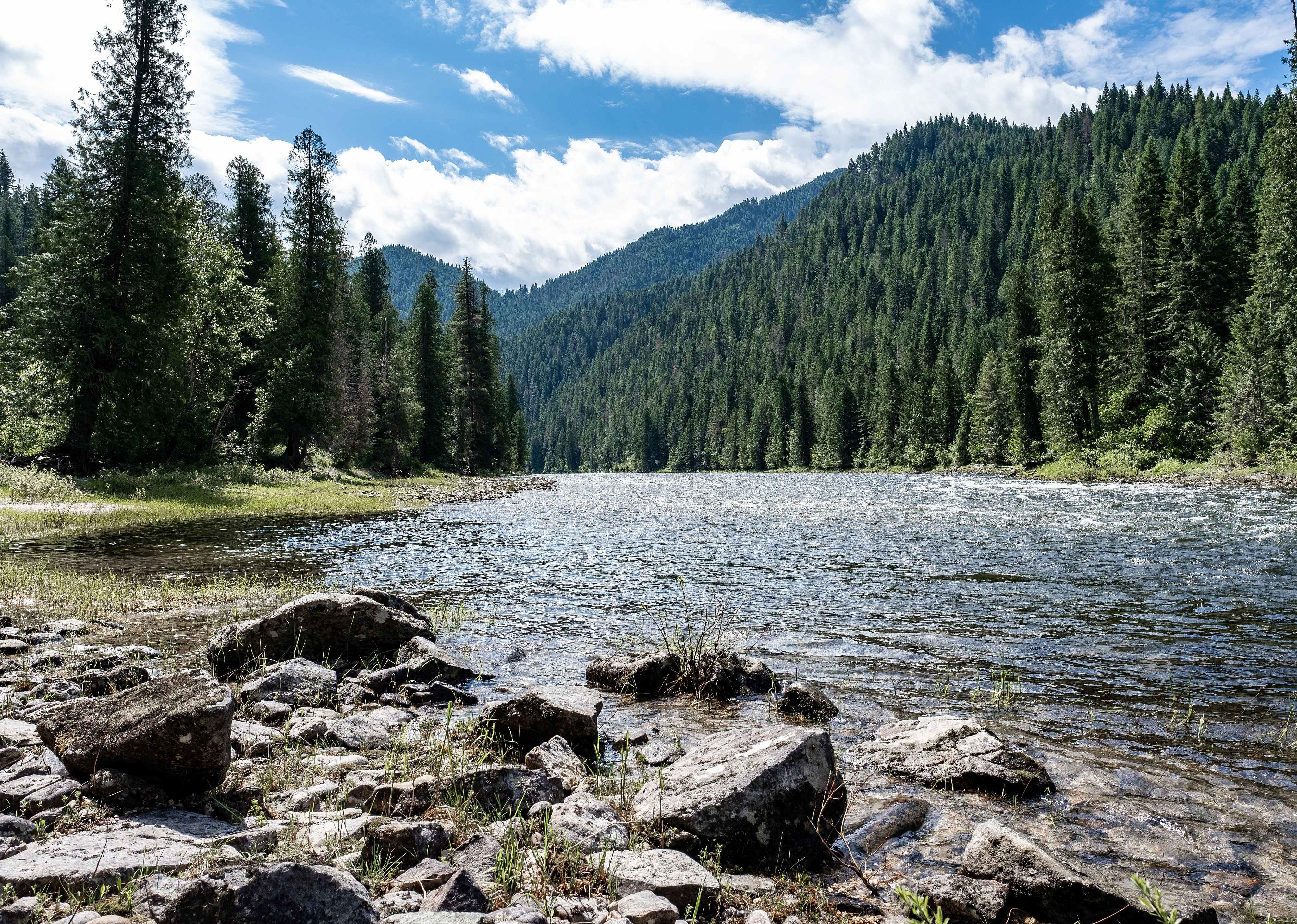 Nez Perce-Clearwater National Forests
