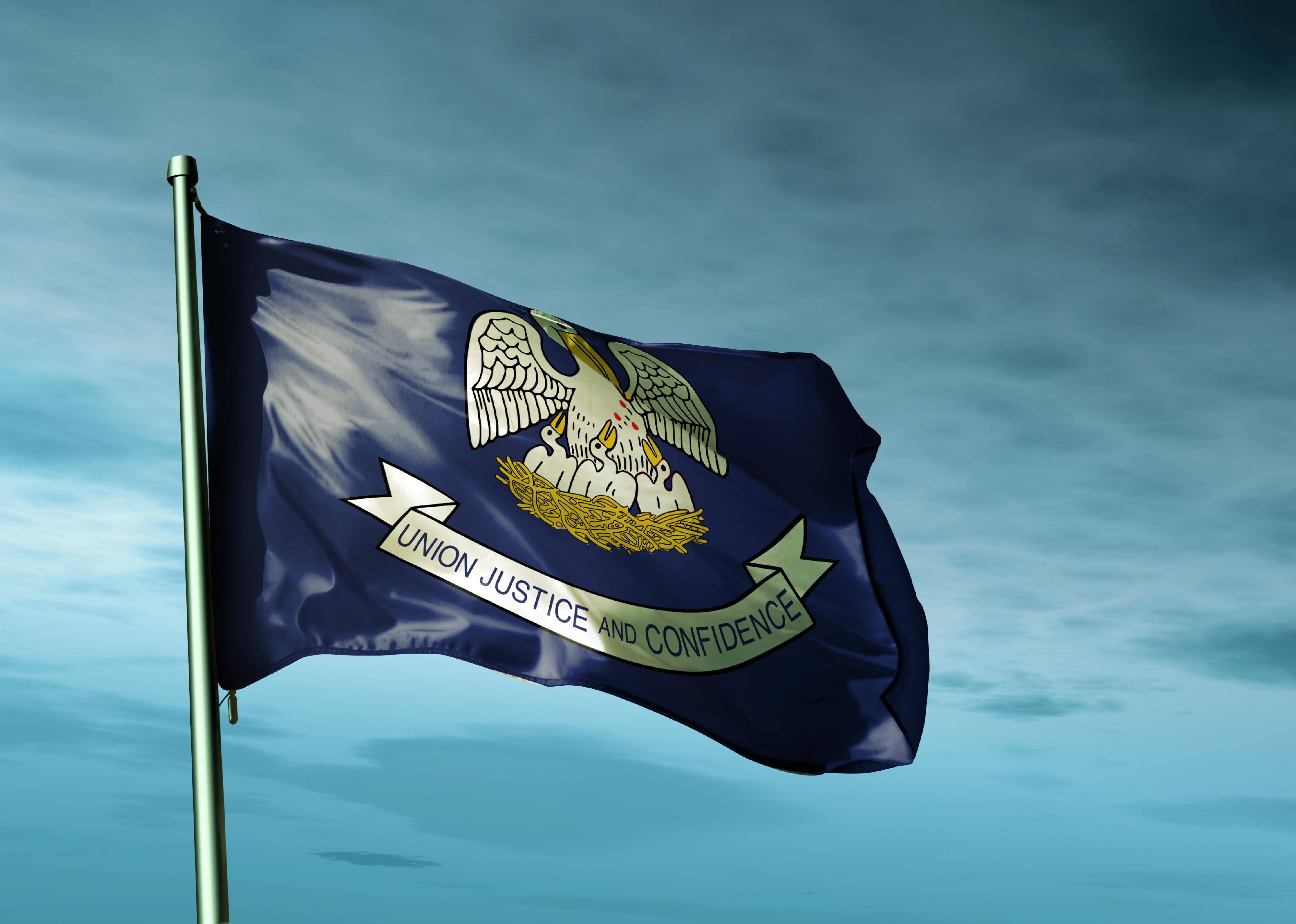 Flag #18