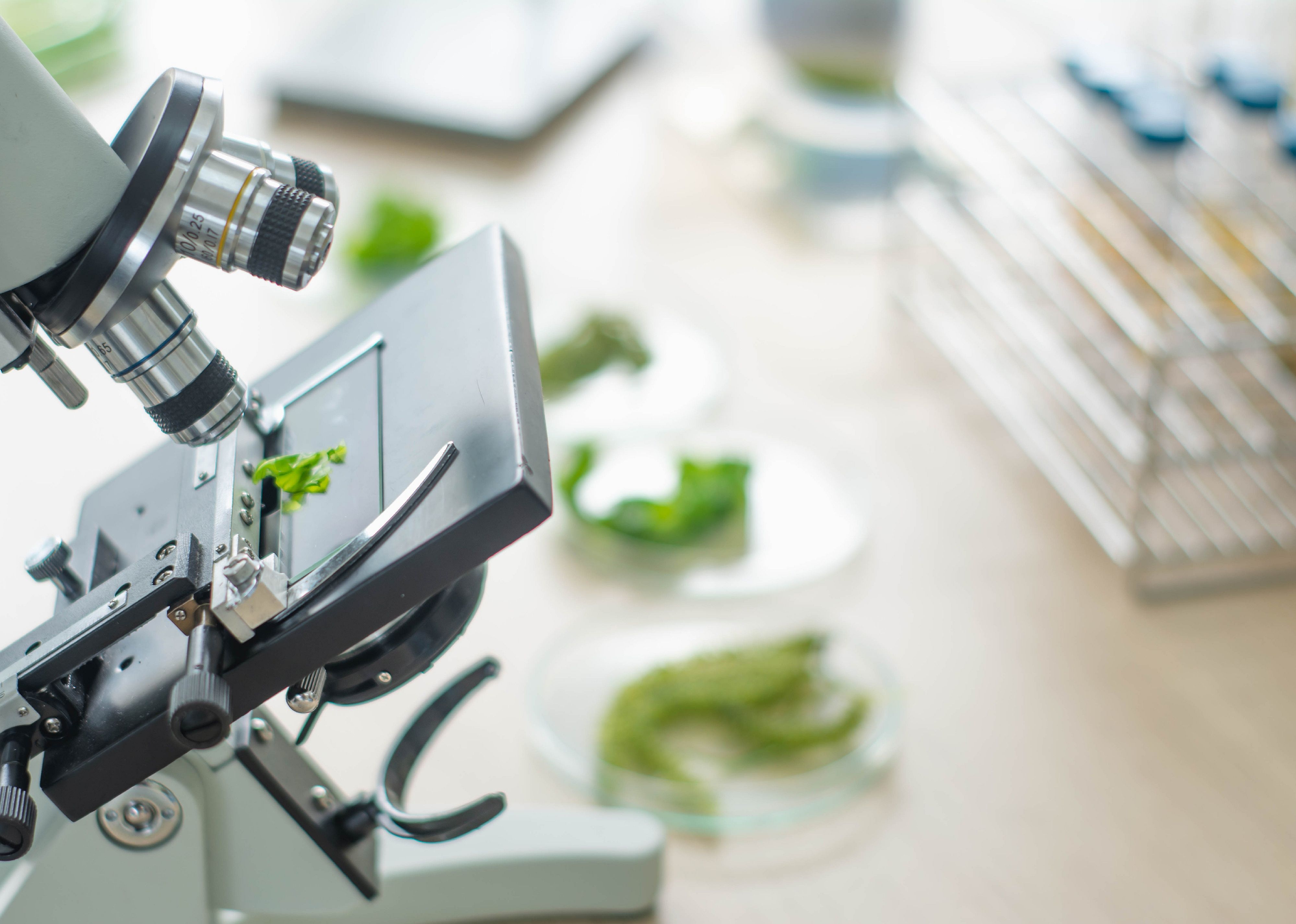 #6. Food science technicians