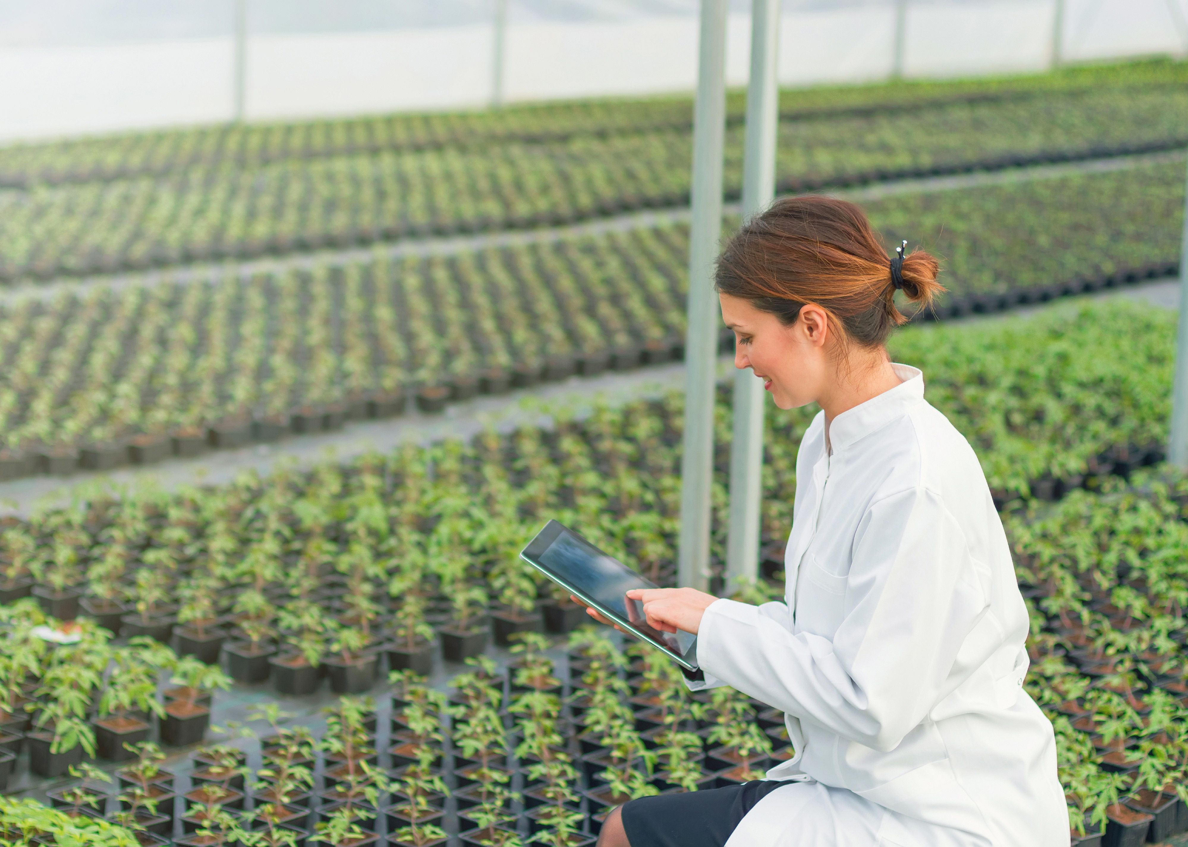 #18. Agricultural technicians