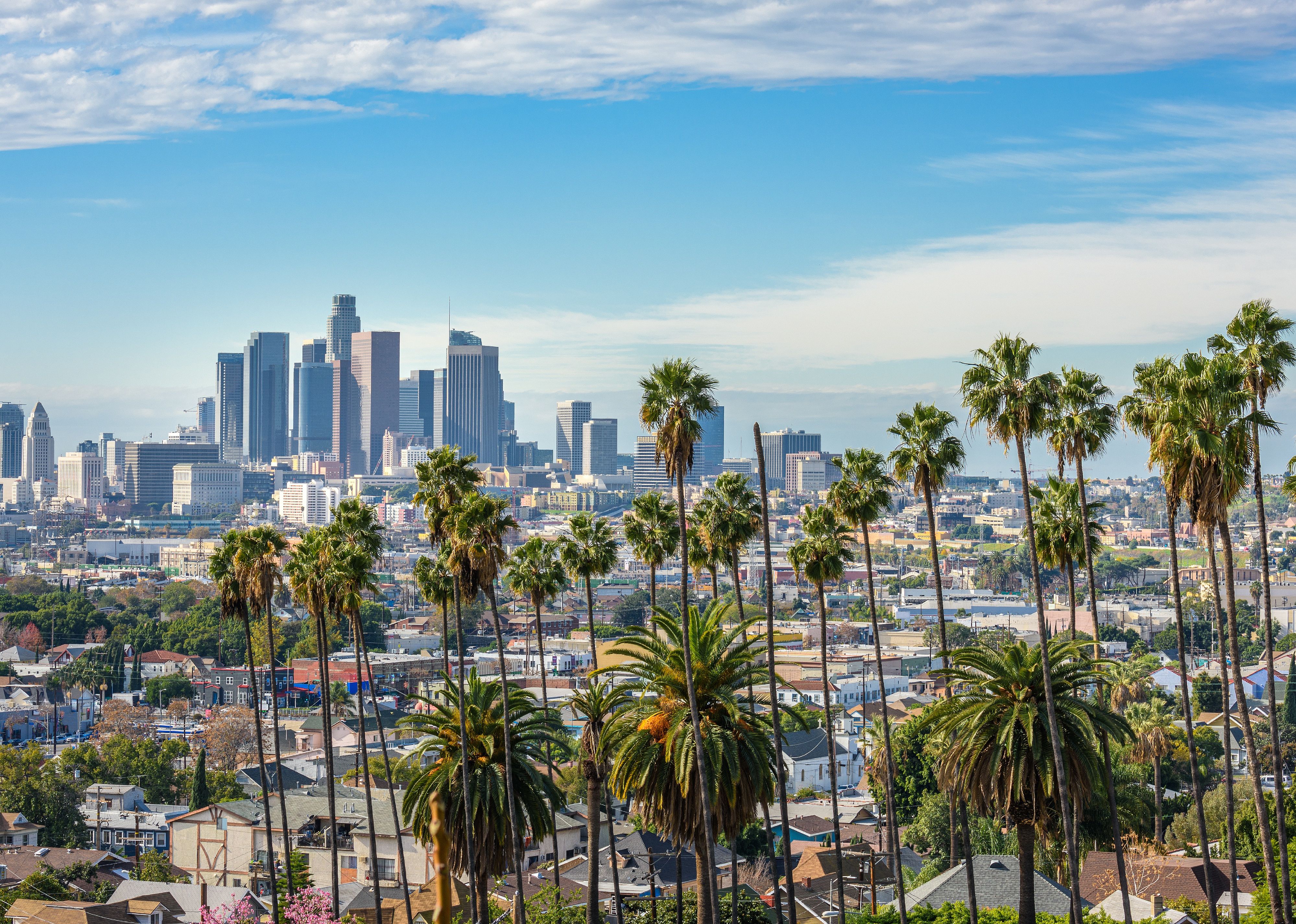 Cloudy scene of Los Angeles downtown skyline and palm trees in foreground.