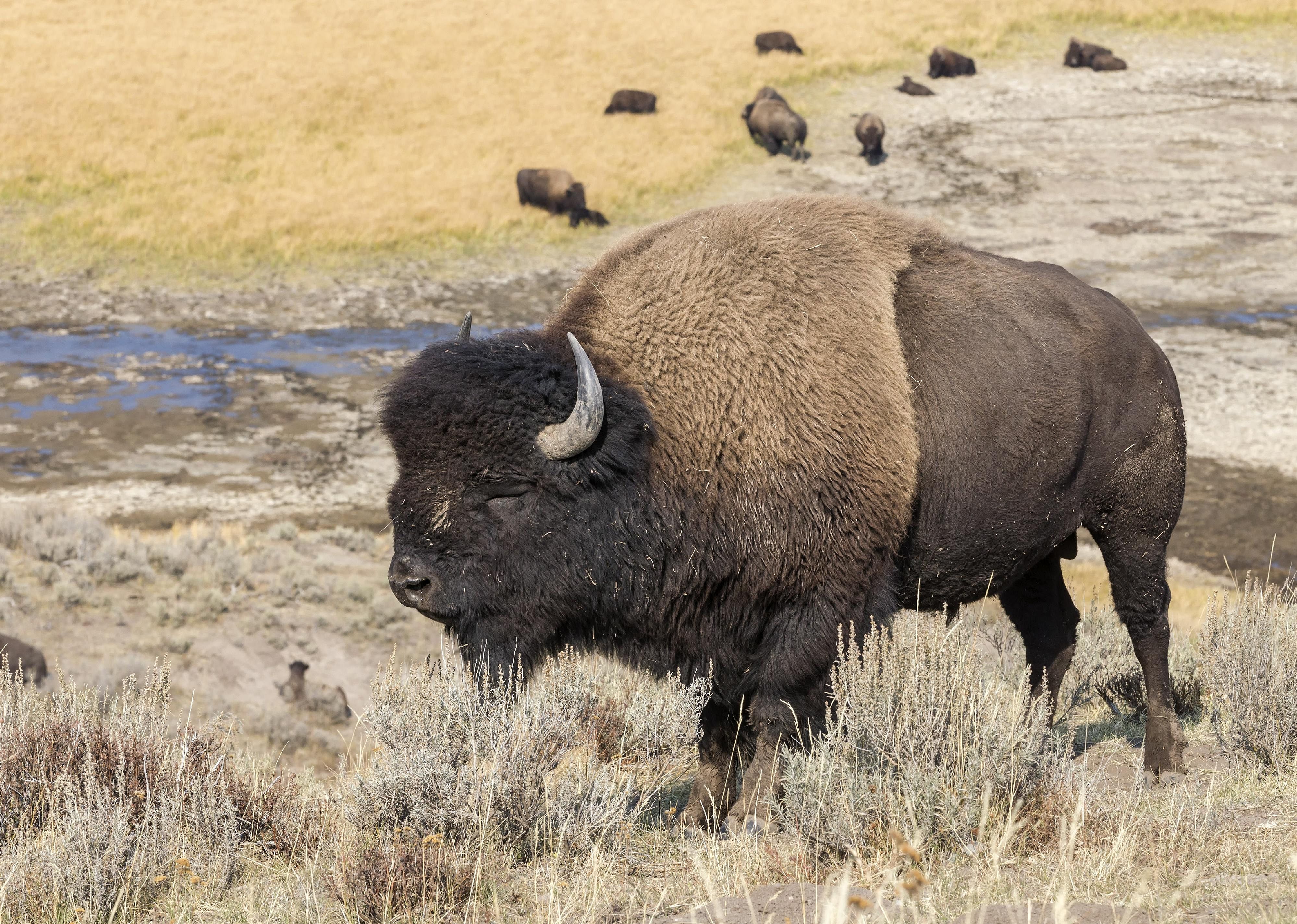 Answer: Wyoming