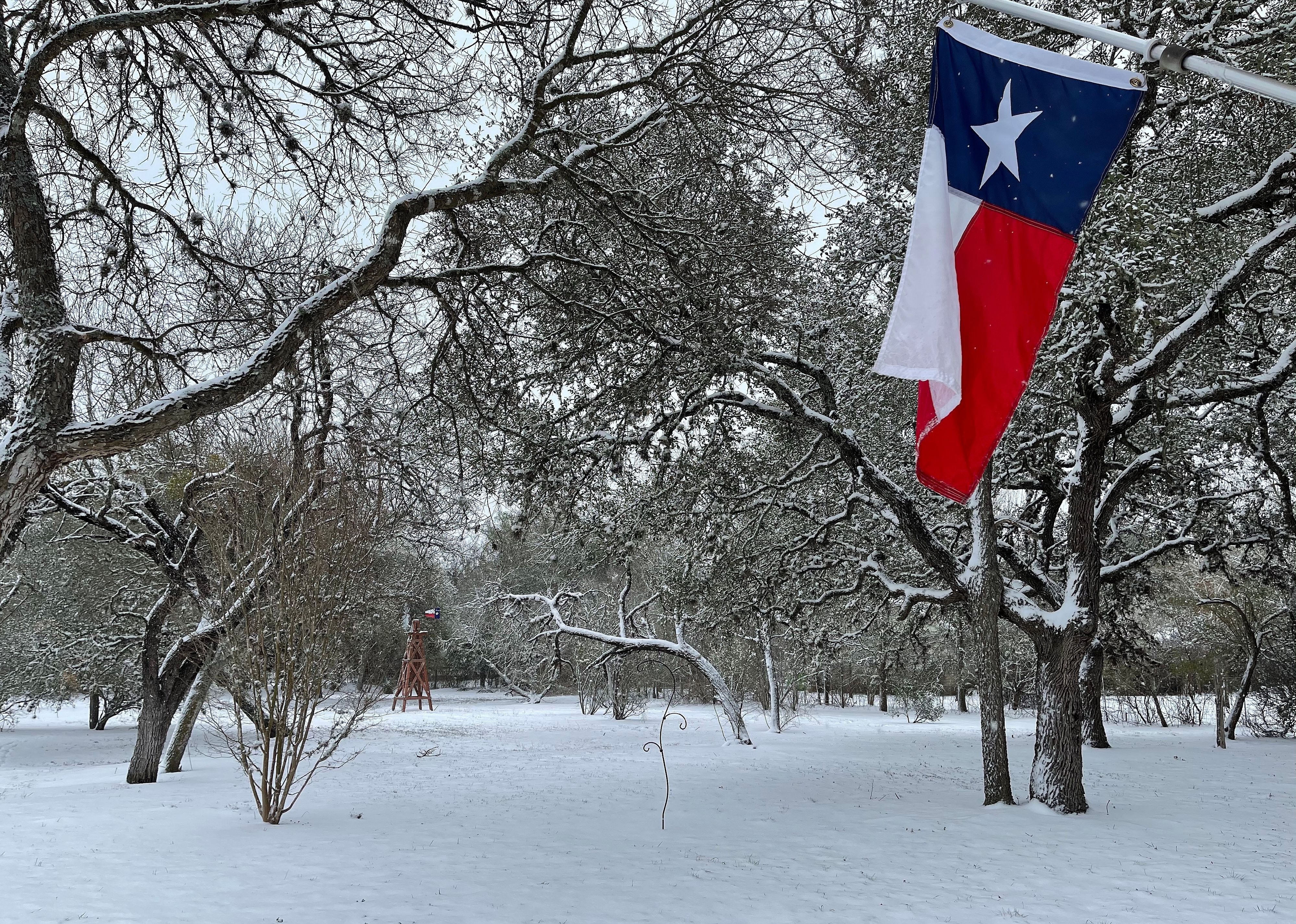 Texas flag against snowy landscape background.