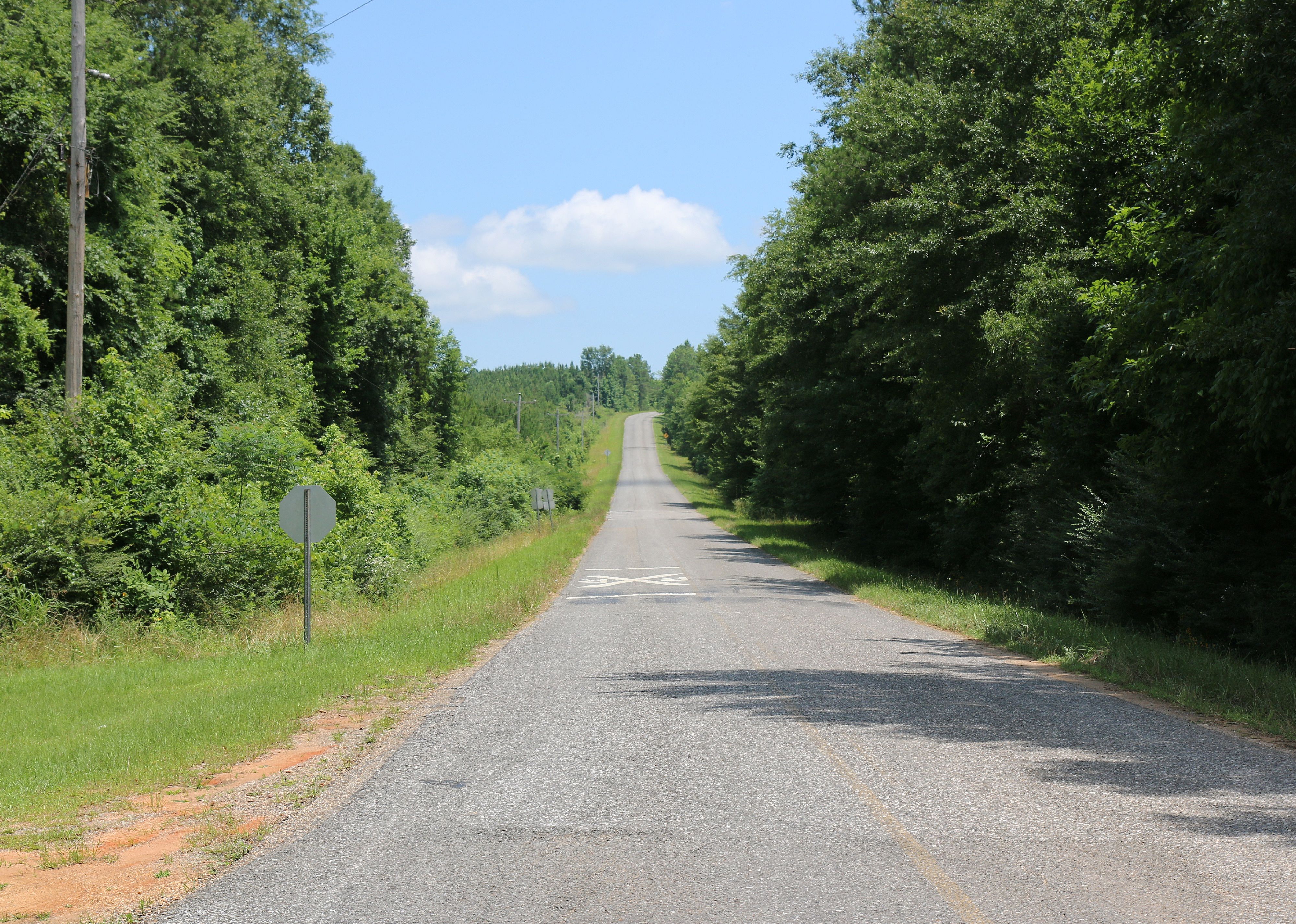 #33. Alabama
