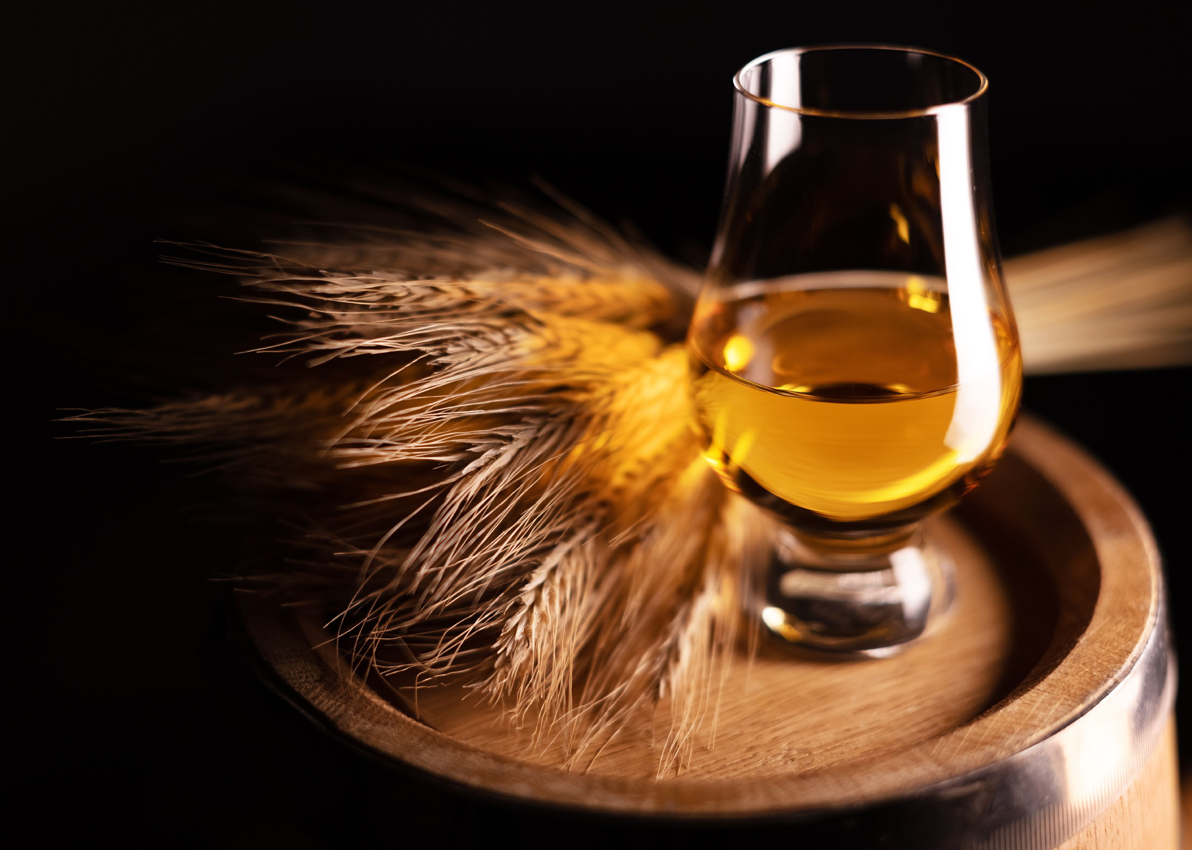 Malt beer in a glass