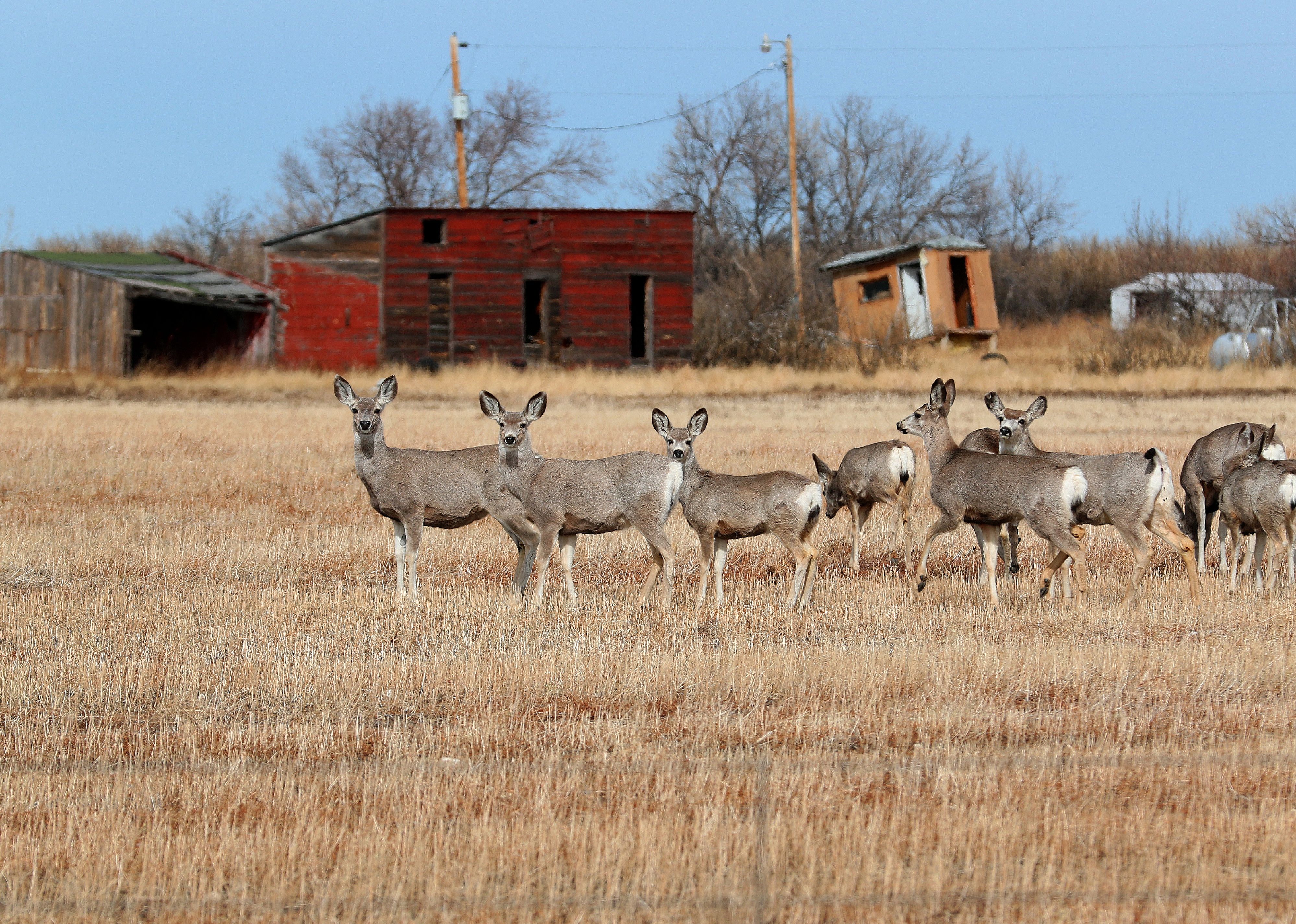 #5. Teton County