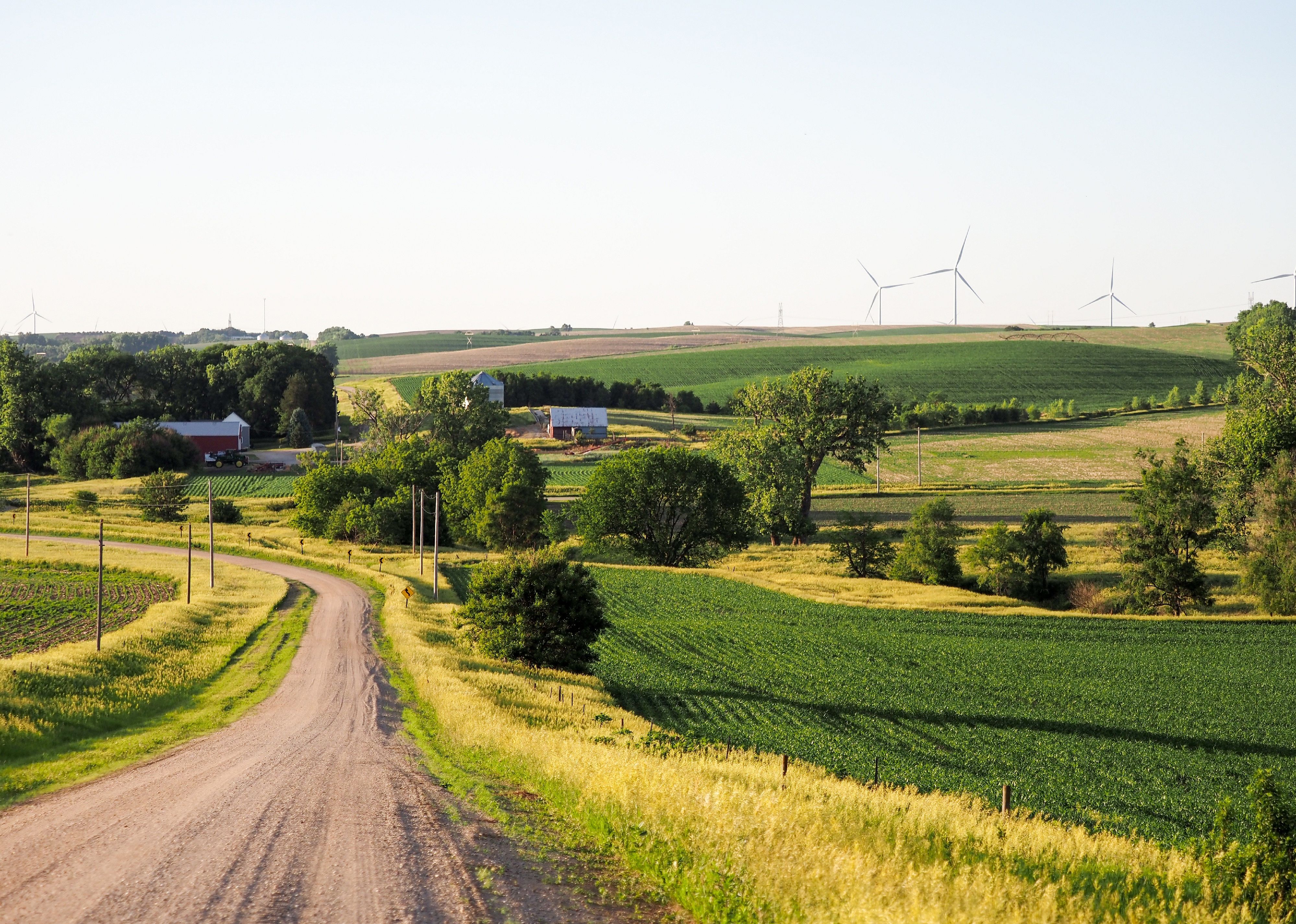 Windmills in distance behind farmland in rural countryside.