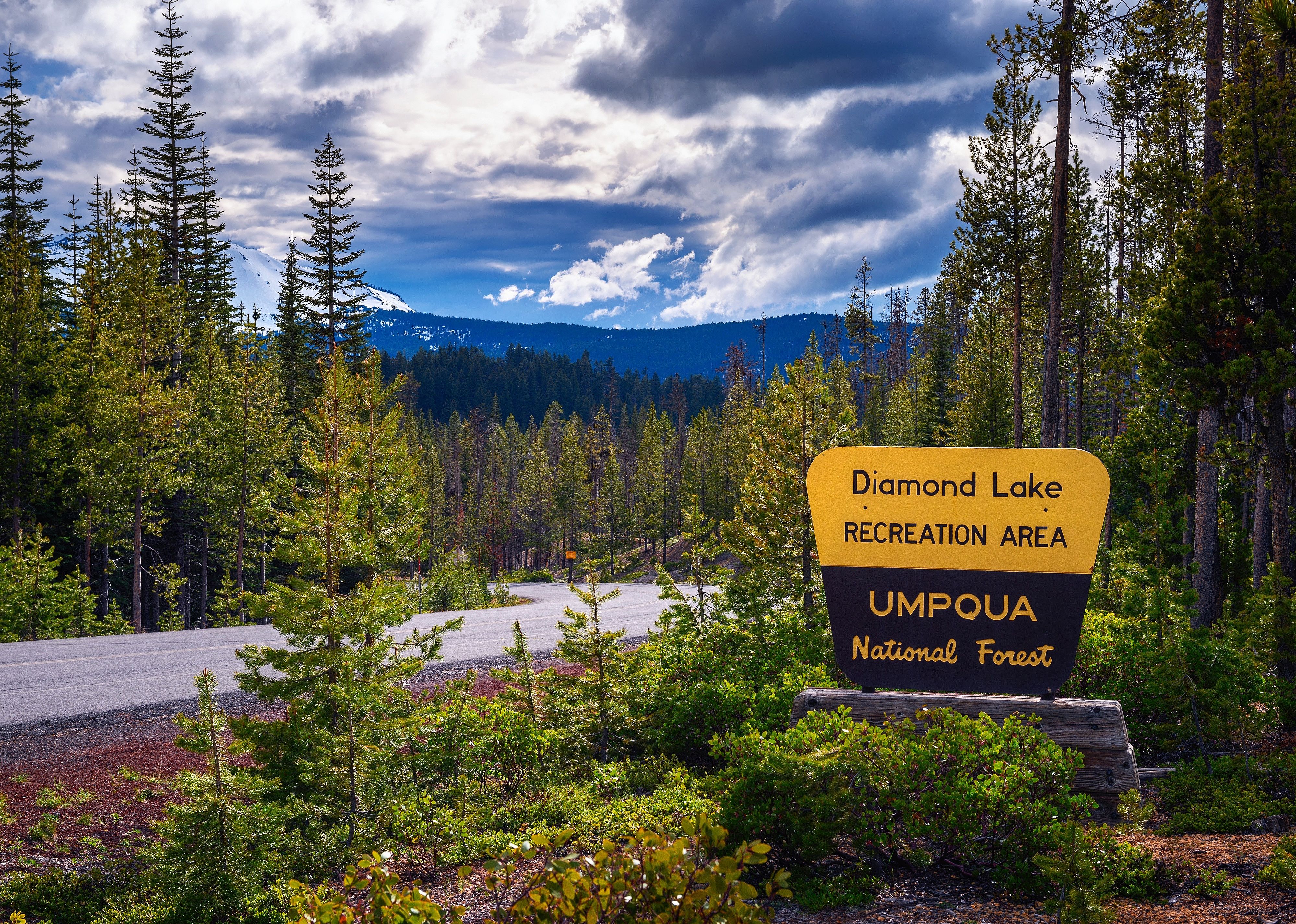 Umpqua National Forest