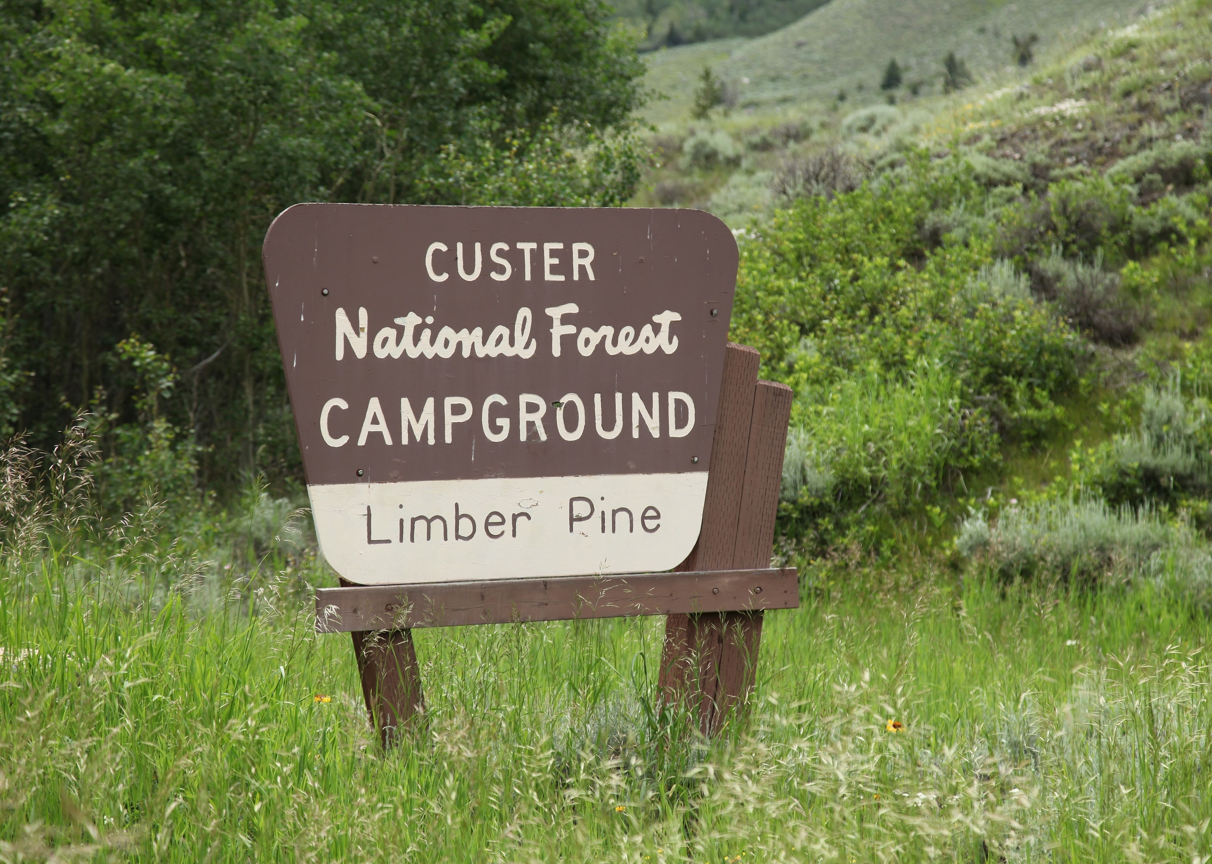 Custer Gallatin National Forest