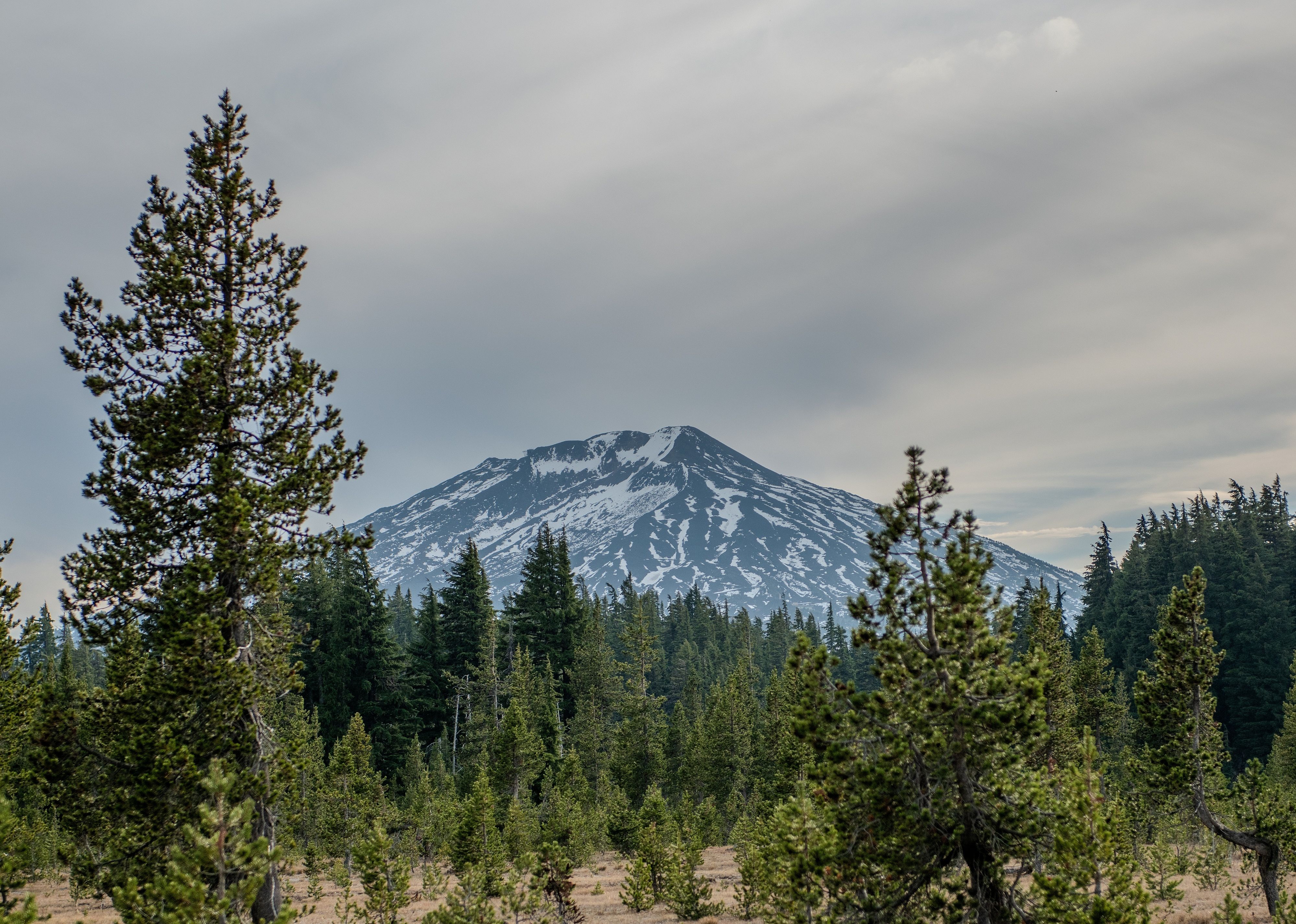 Deschutes National Forest