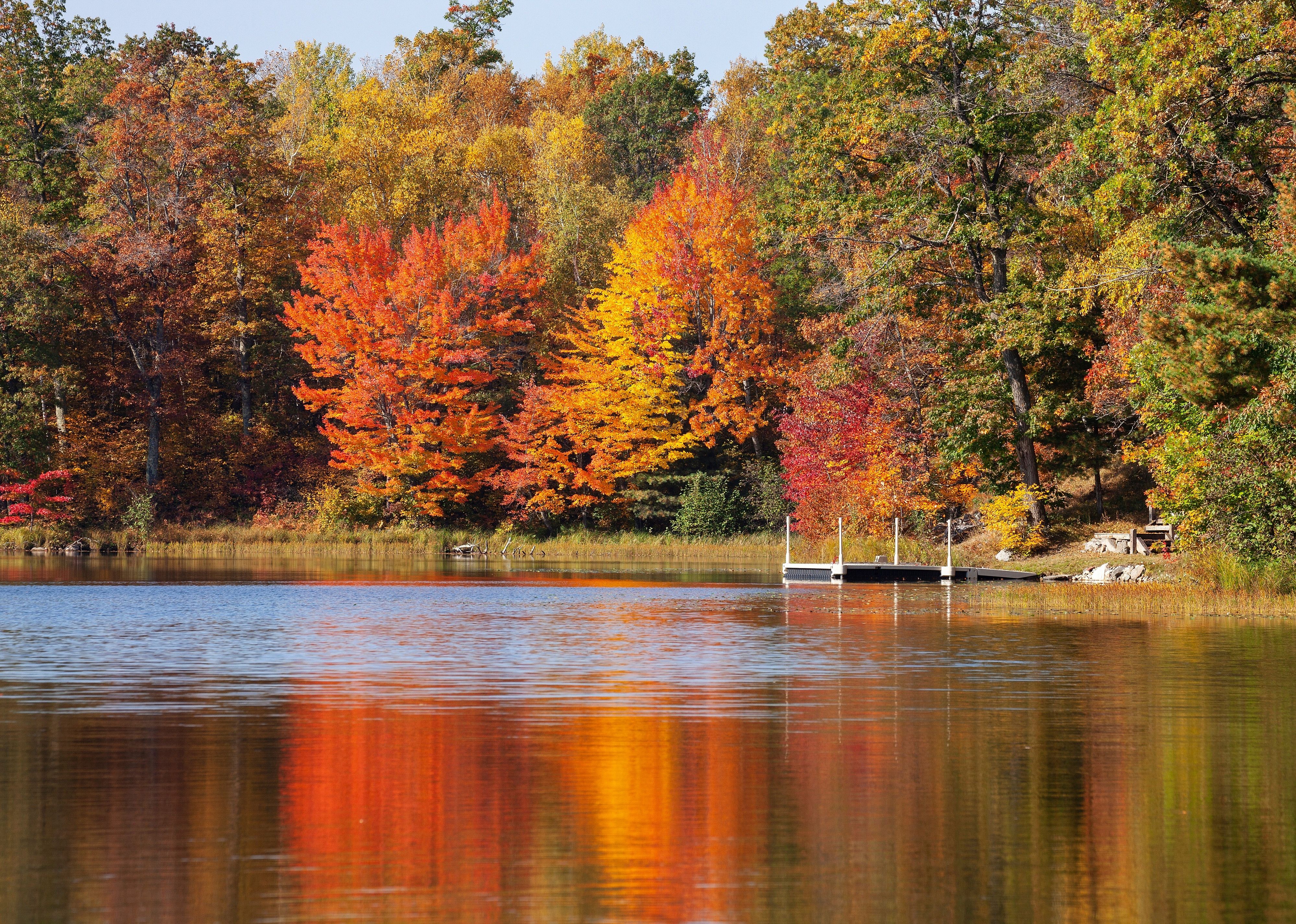 Trees in brilliant autumn color on a small lake.