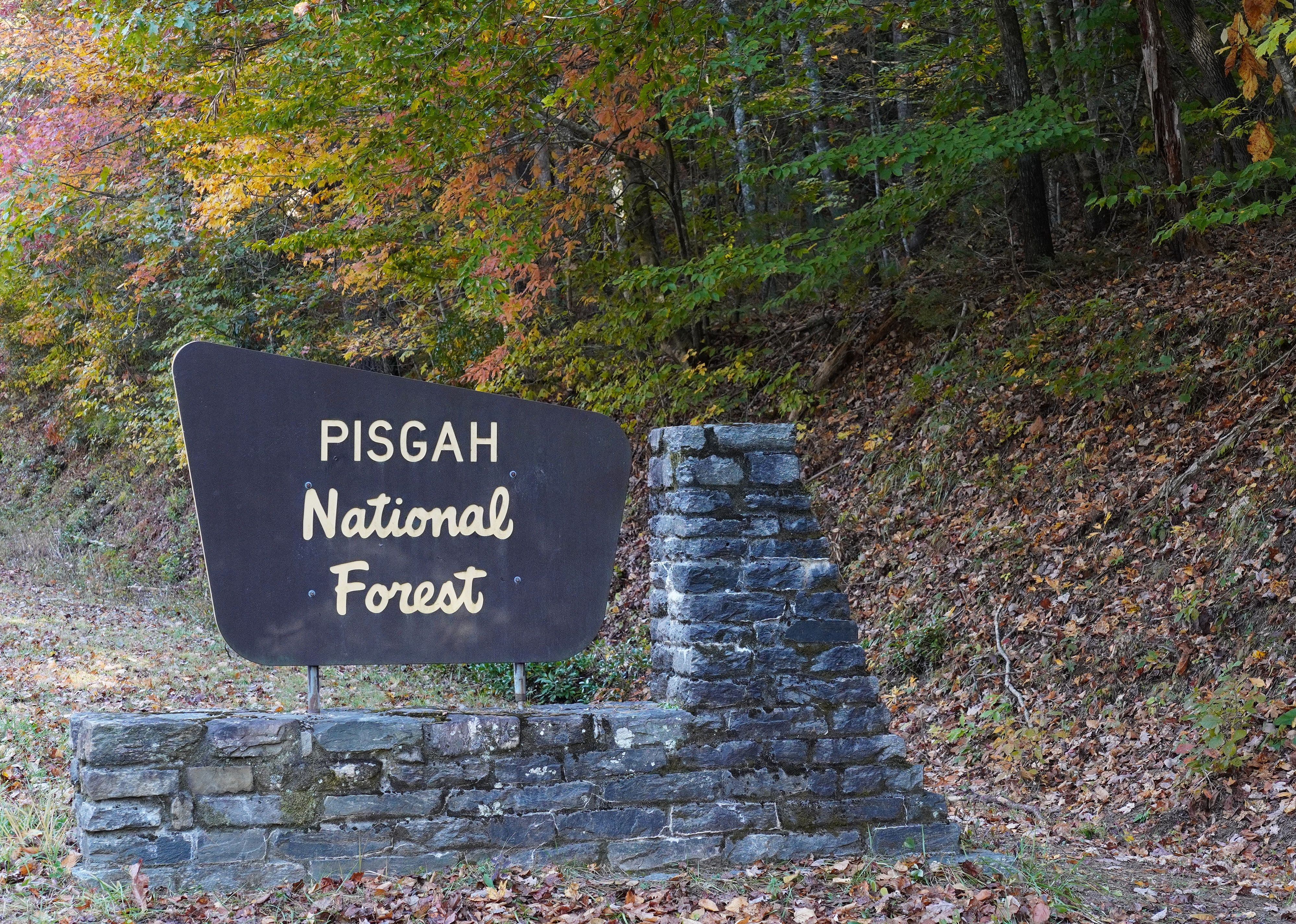 National Forests in North Carolina