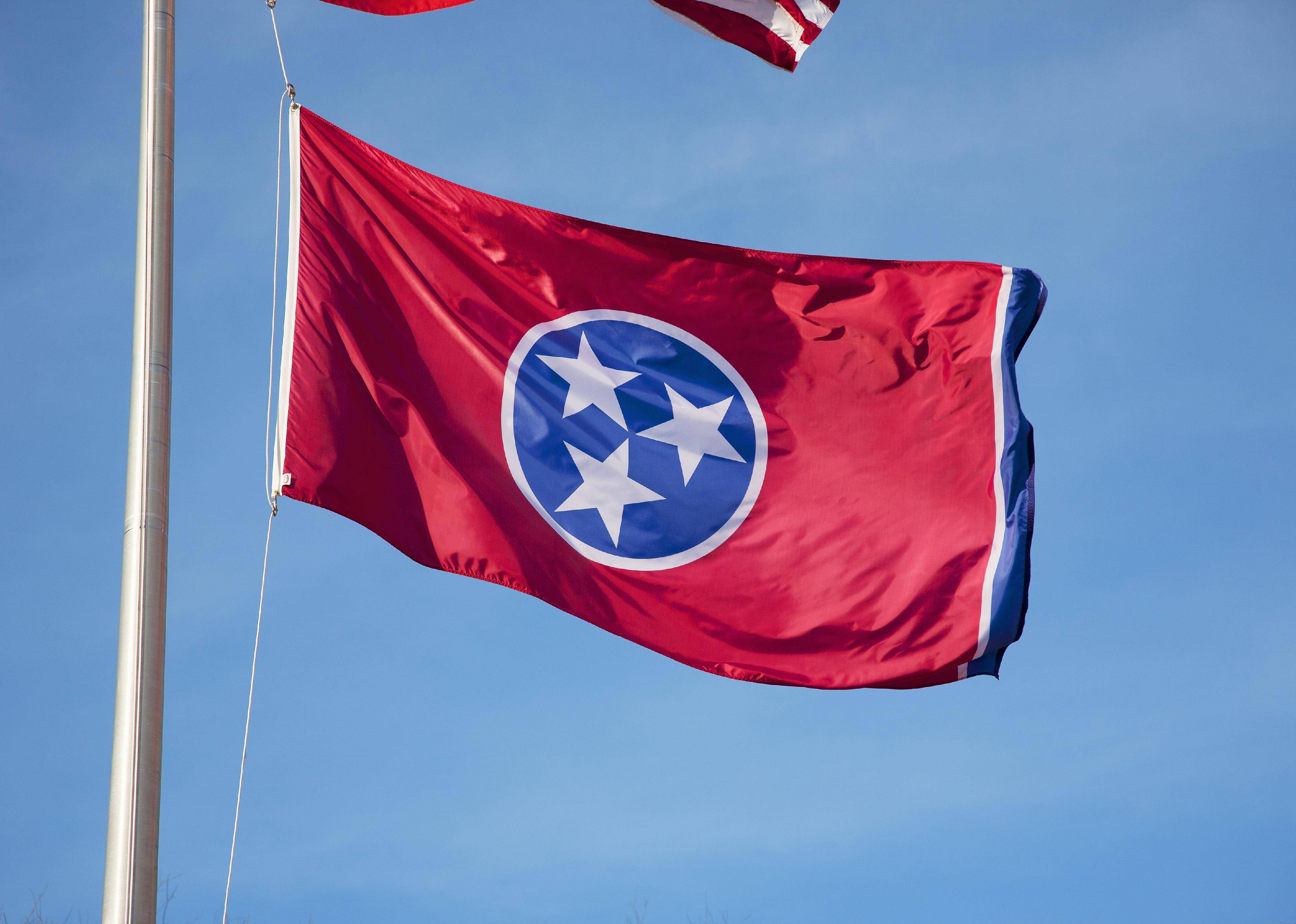 Flag #42