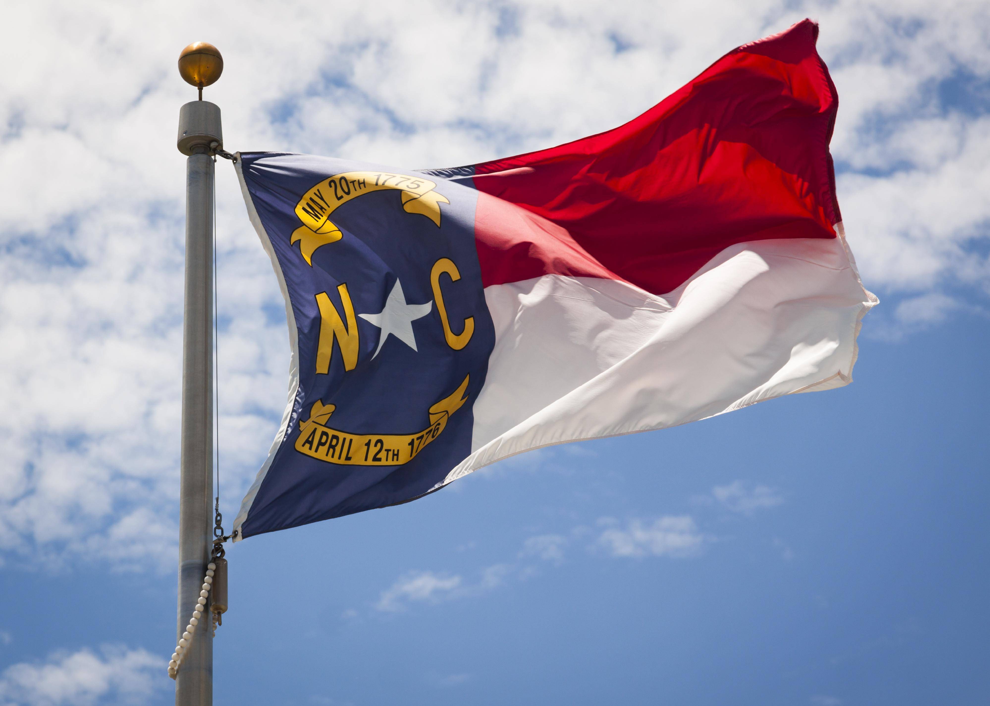Flag #33