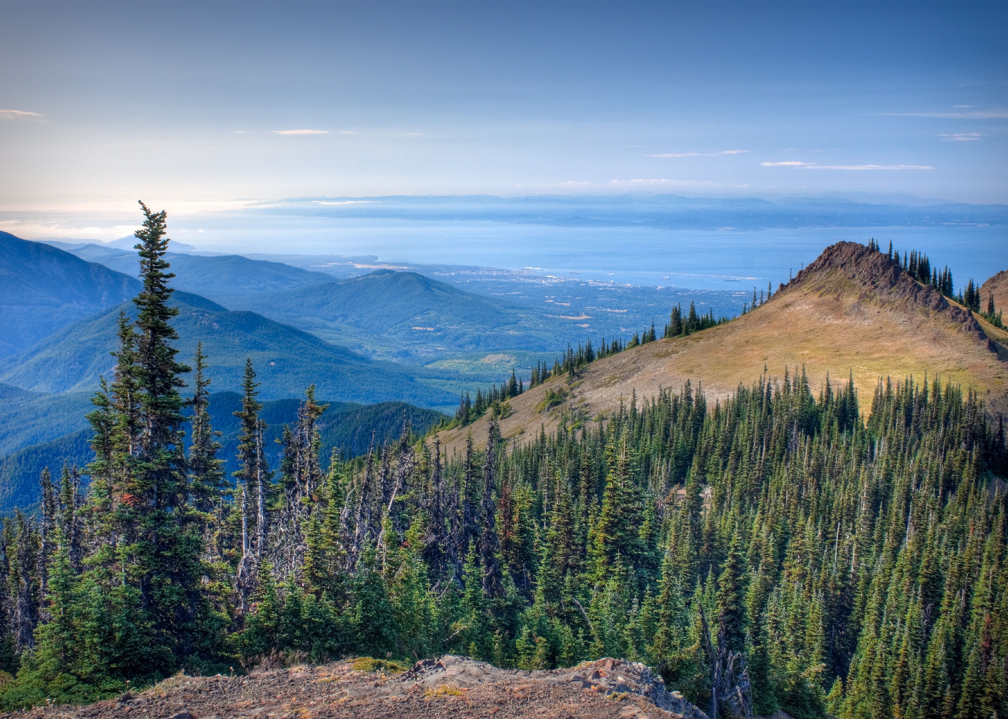 Views from the Deer Park area of Oylmpic National Park.