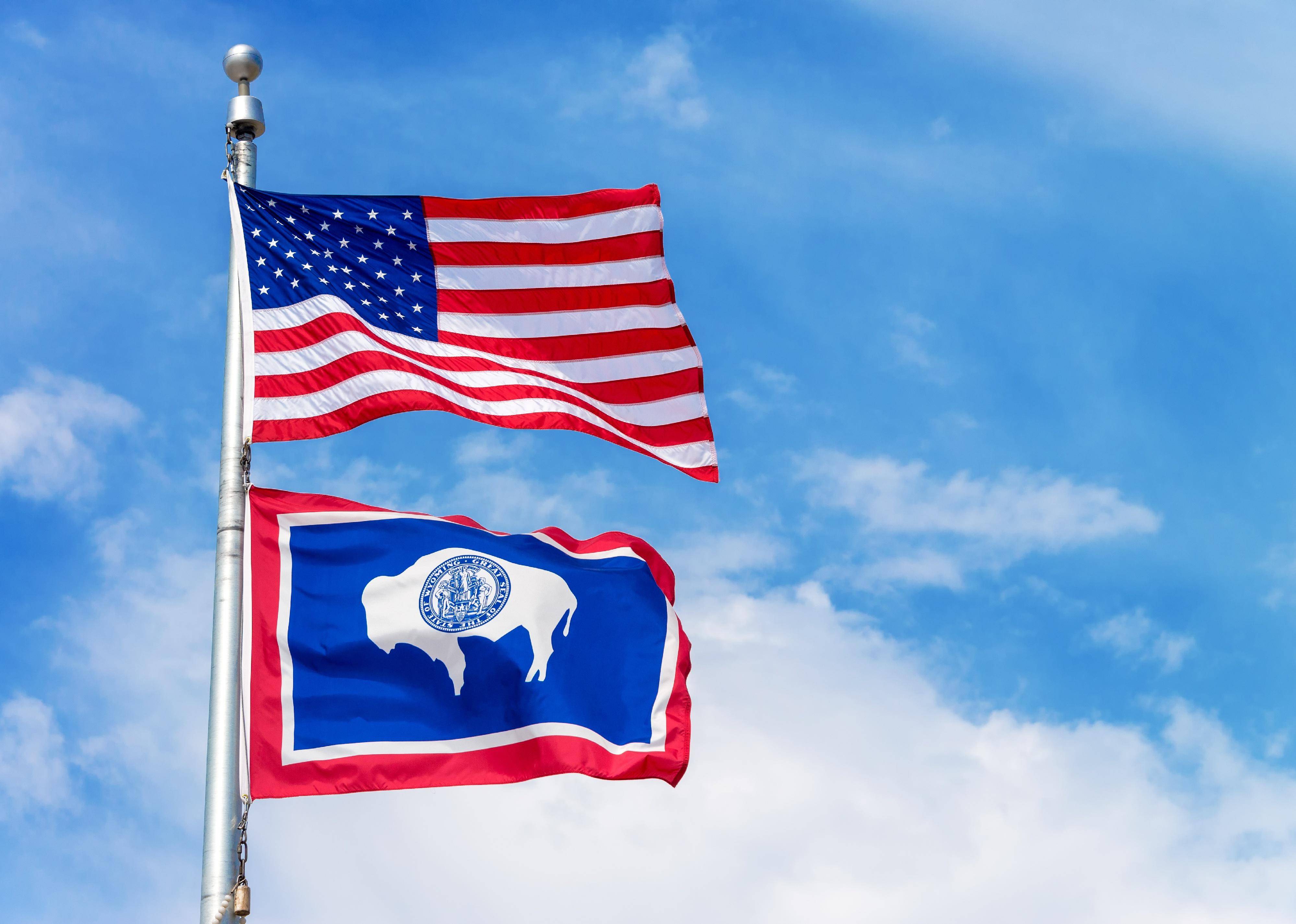 Flag #50