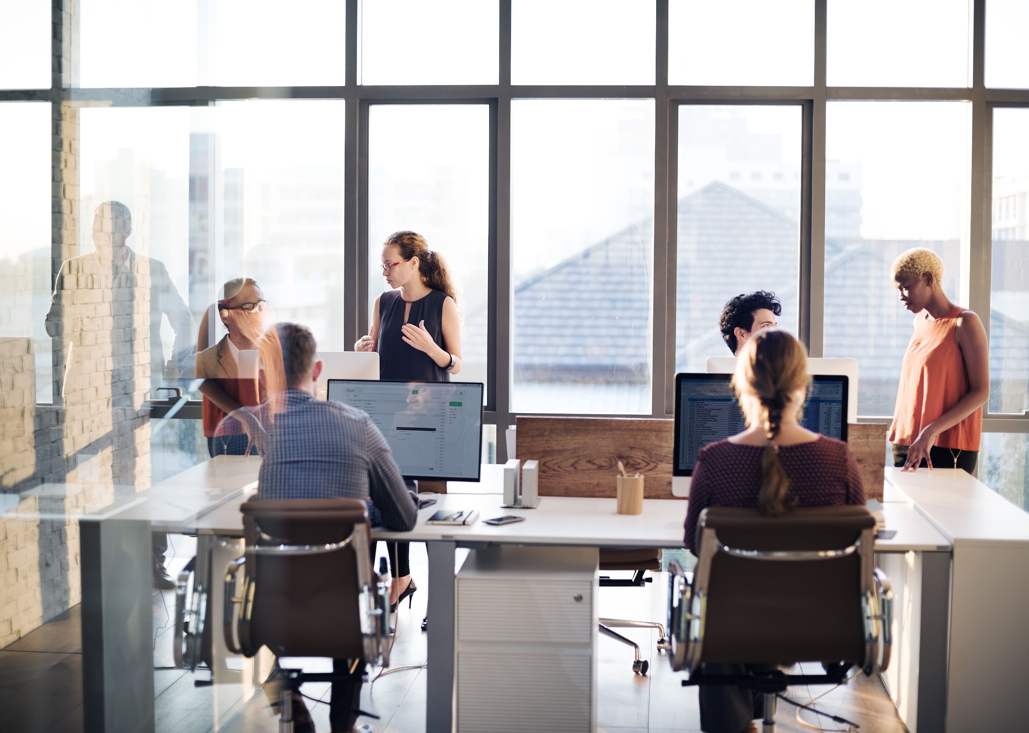 Group of professionals in a meeting.