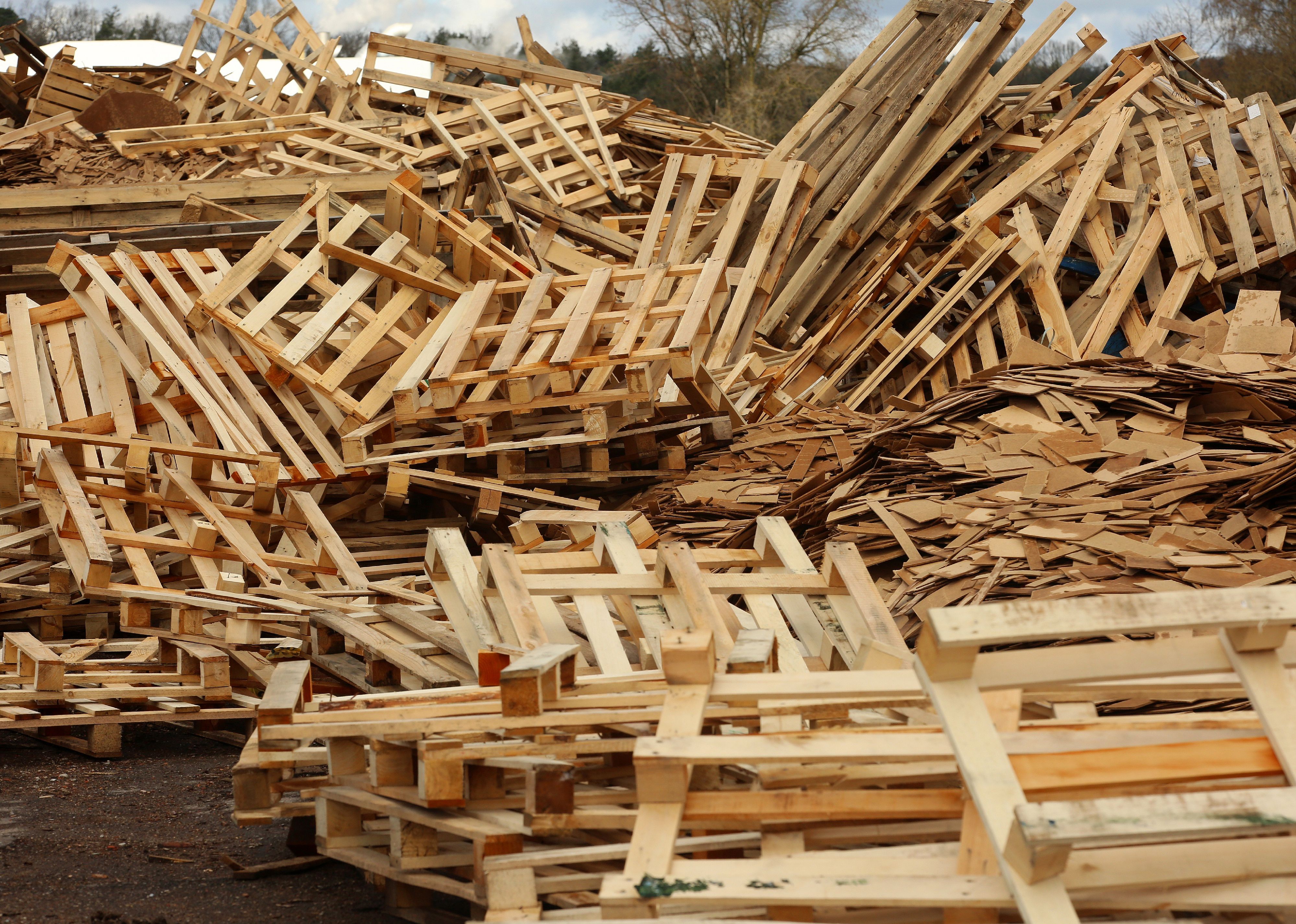 Wood