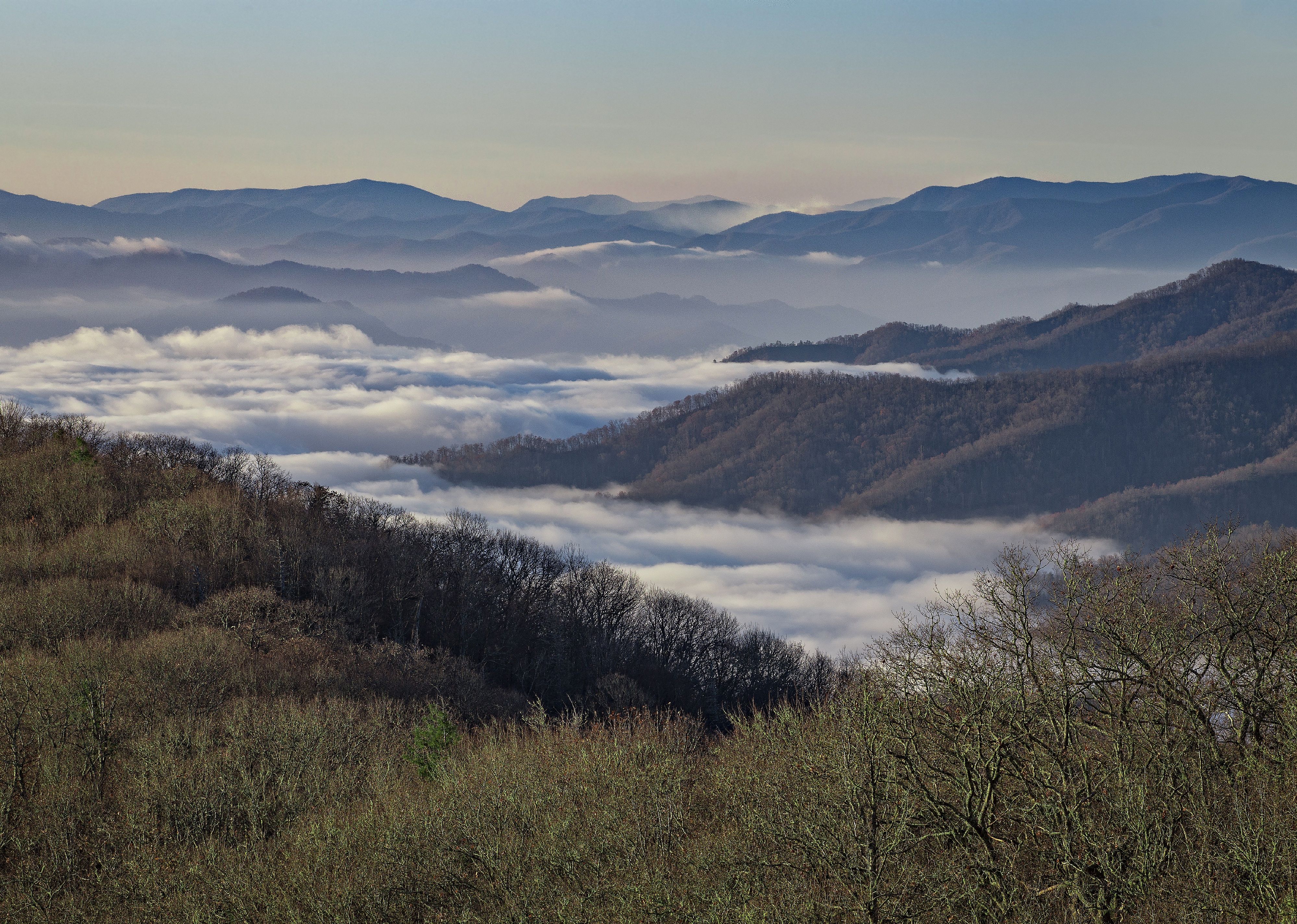 Early morning in the Great Smoky Mountains National Park.