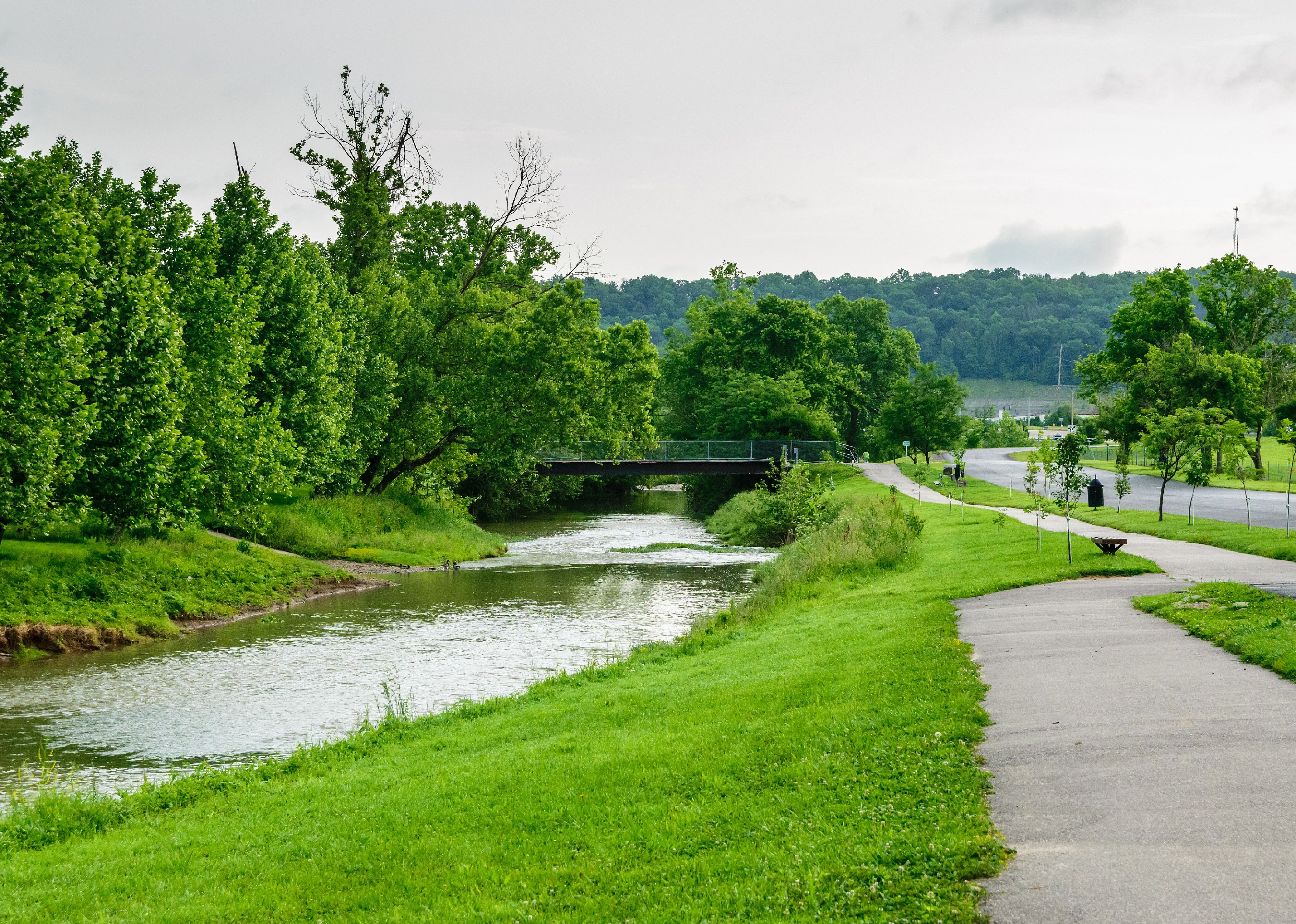 Beautiful walking trail view next to a creek.