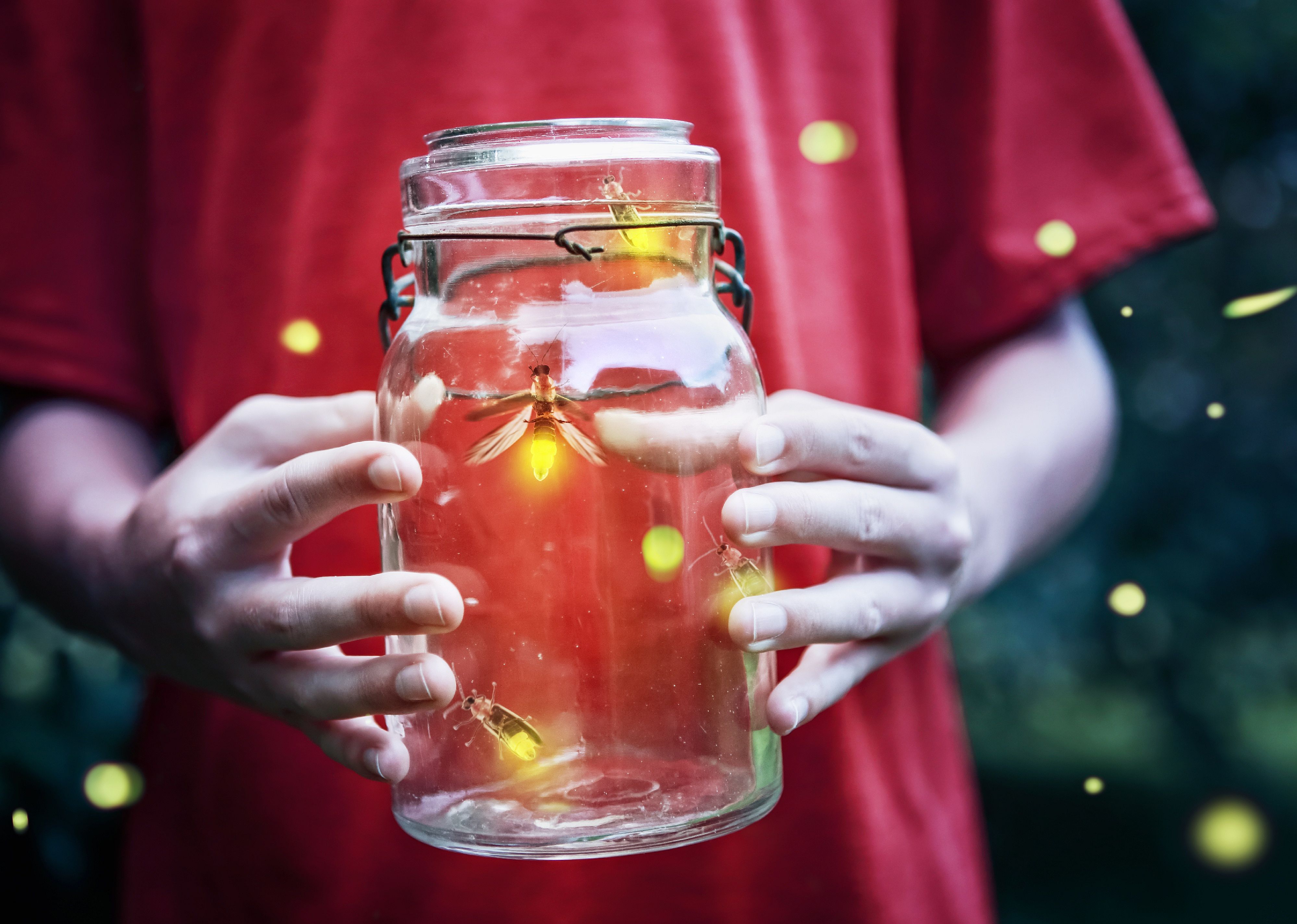 Fireflies in a jar held up by a boy.