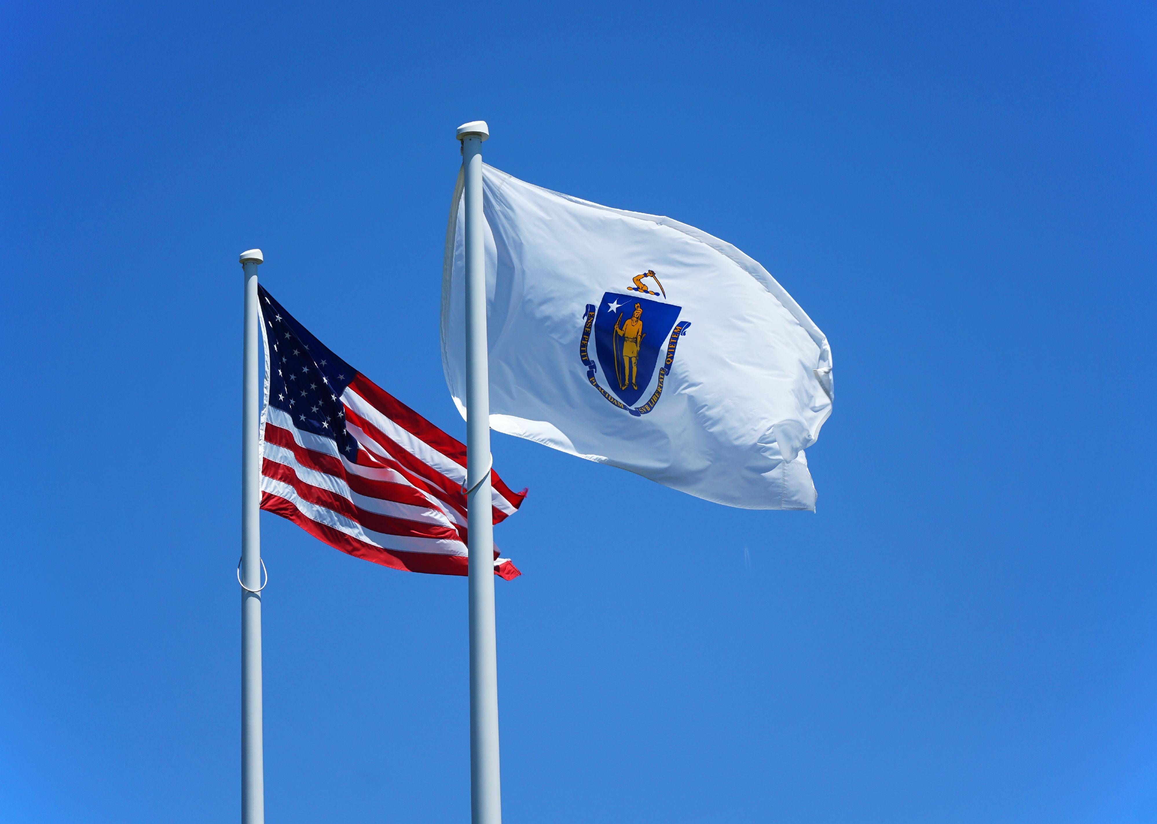 Flag #21