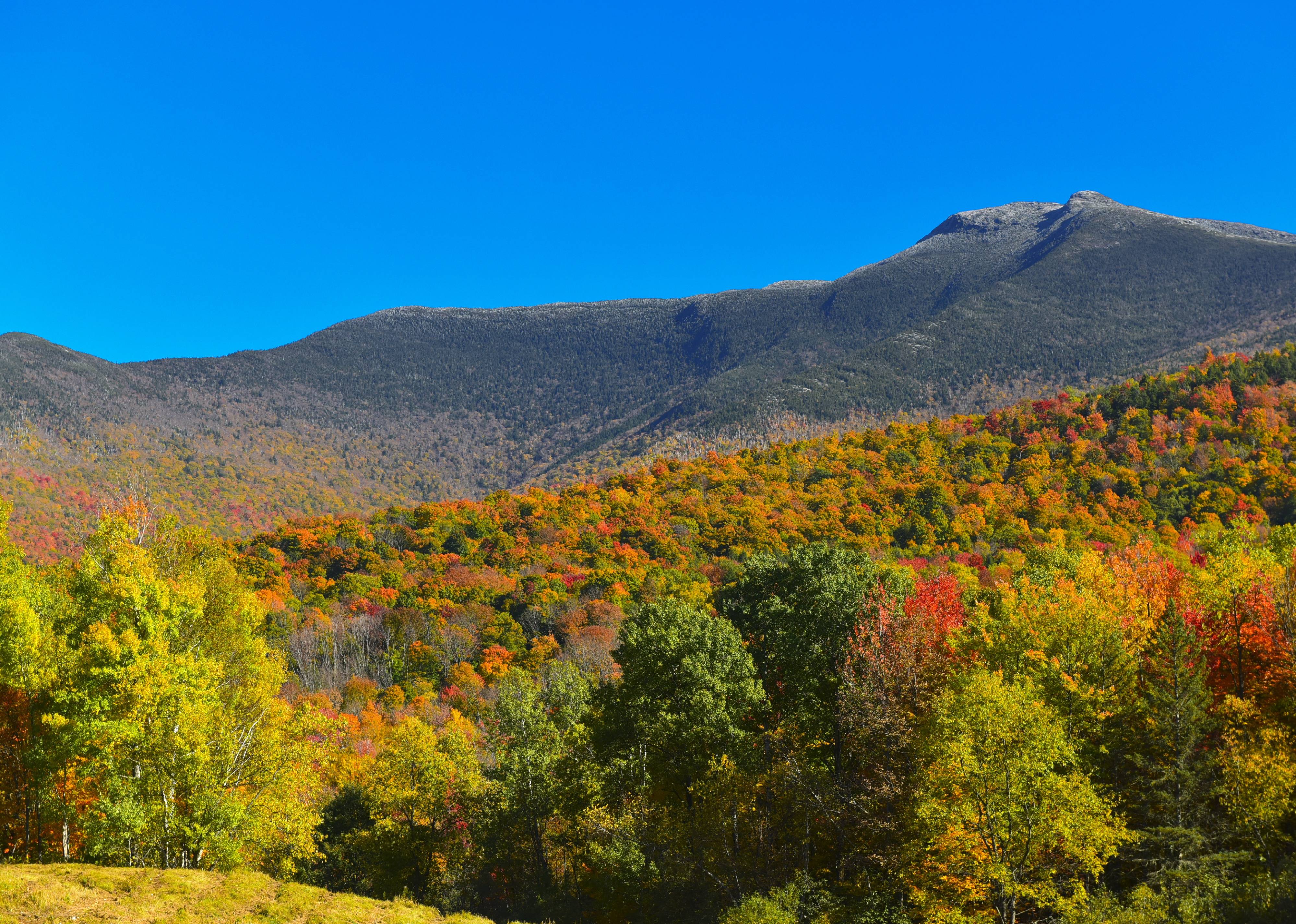 Vermont