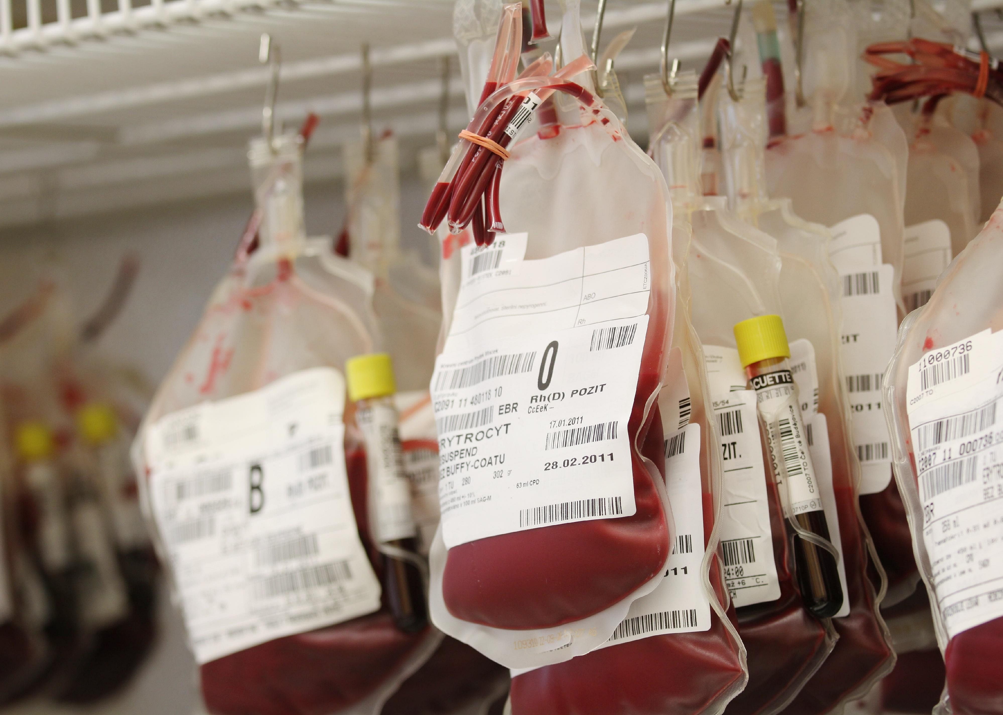 1937: Blood bank