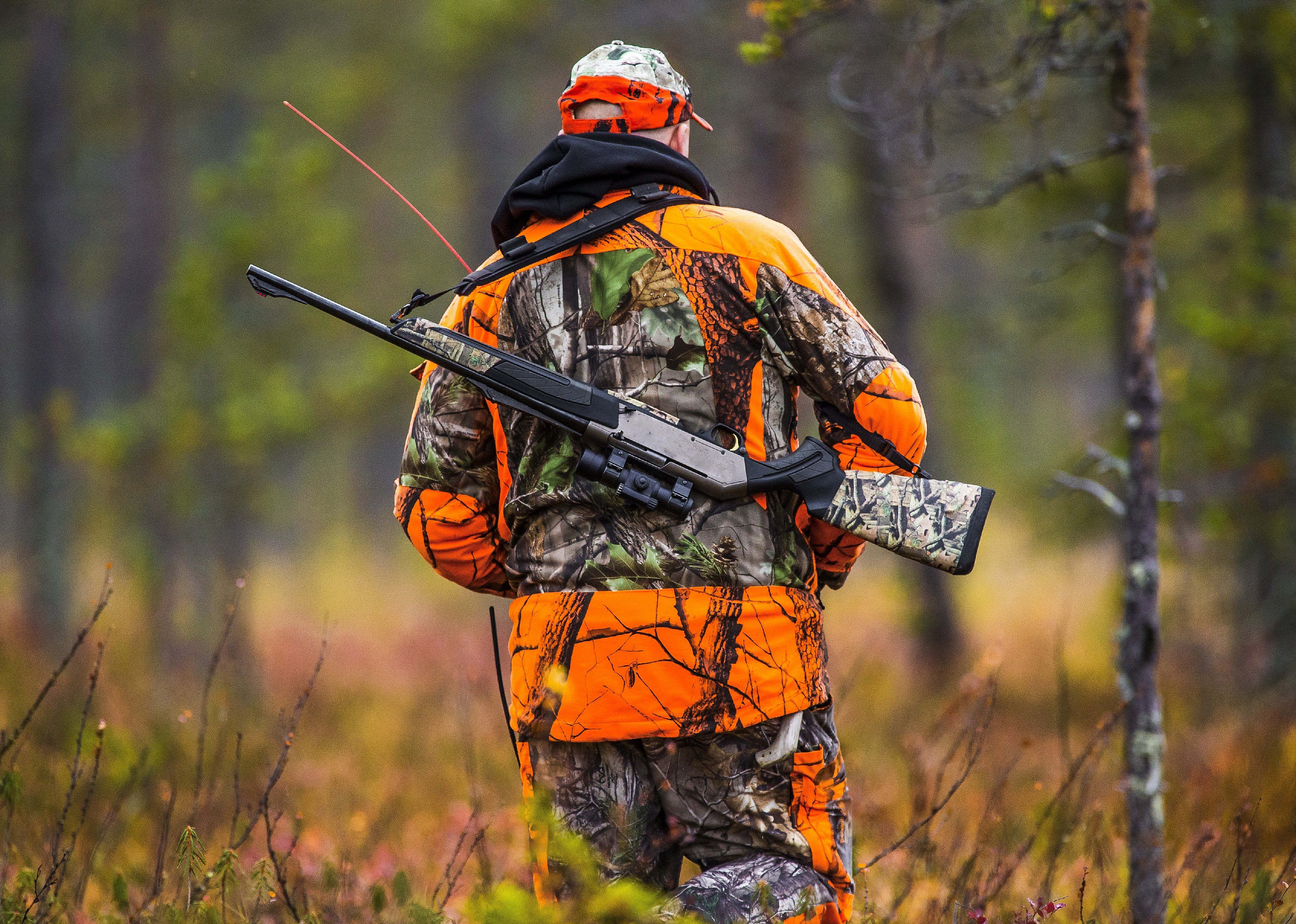 Hunter walking in the fall hunting season.