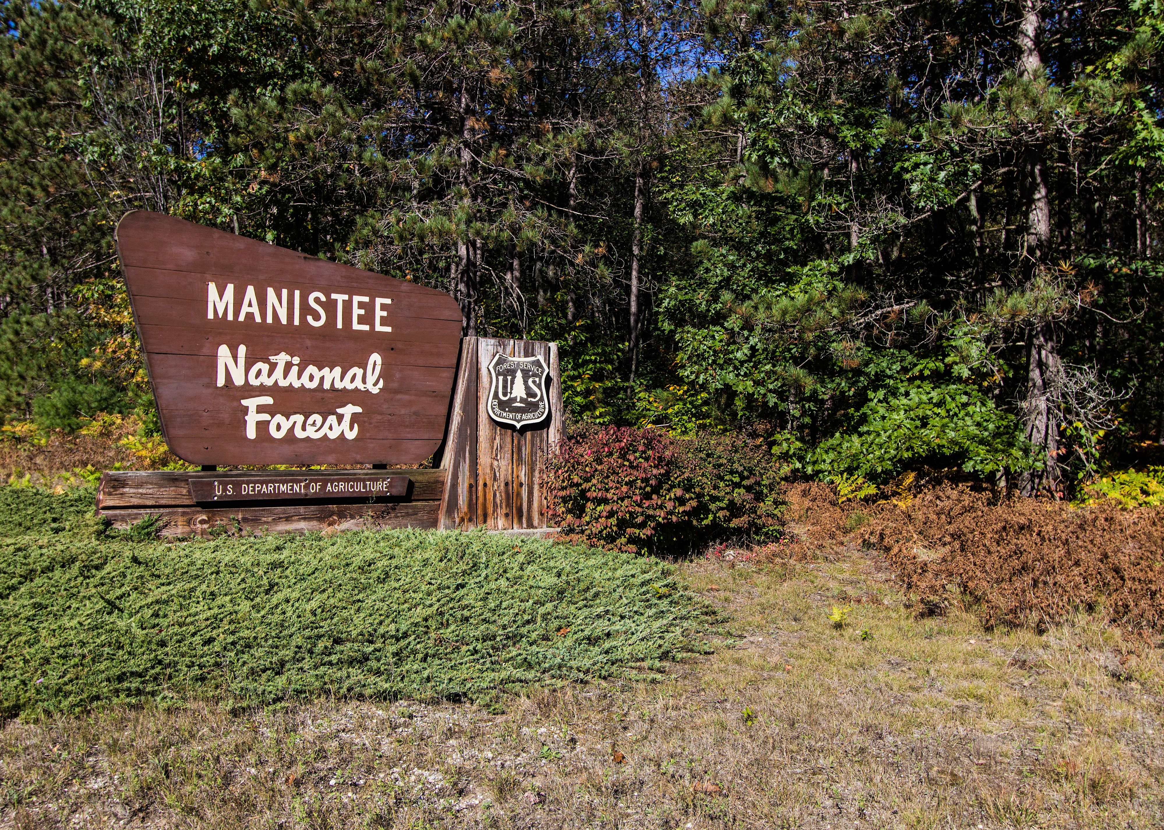 Huron-Manistee National Forests