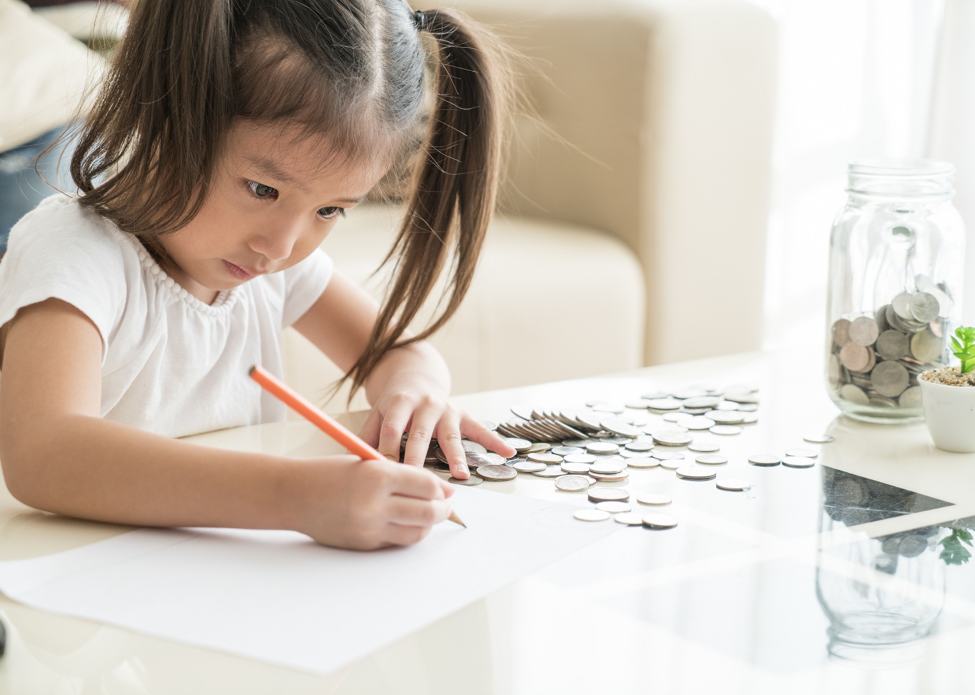 Using a budget