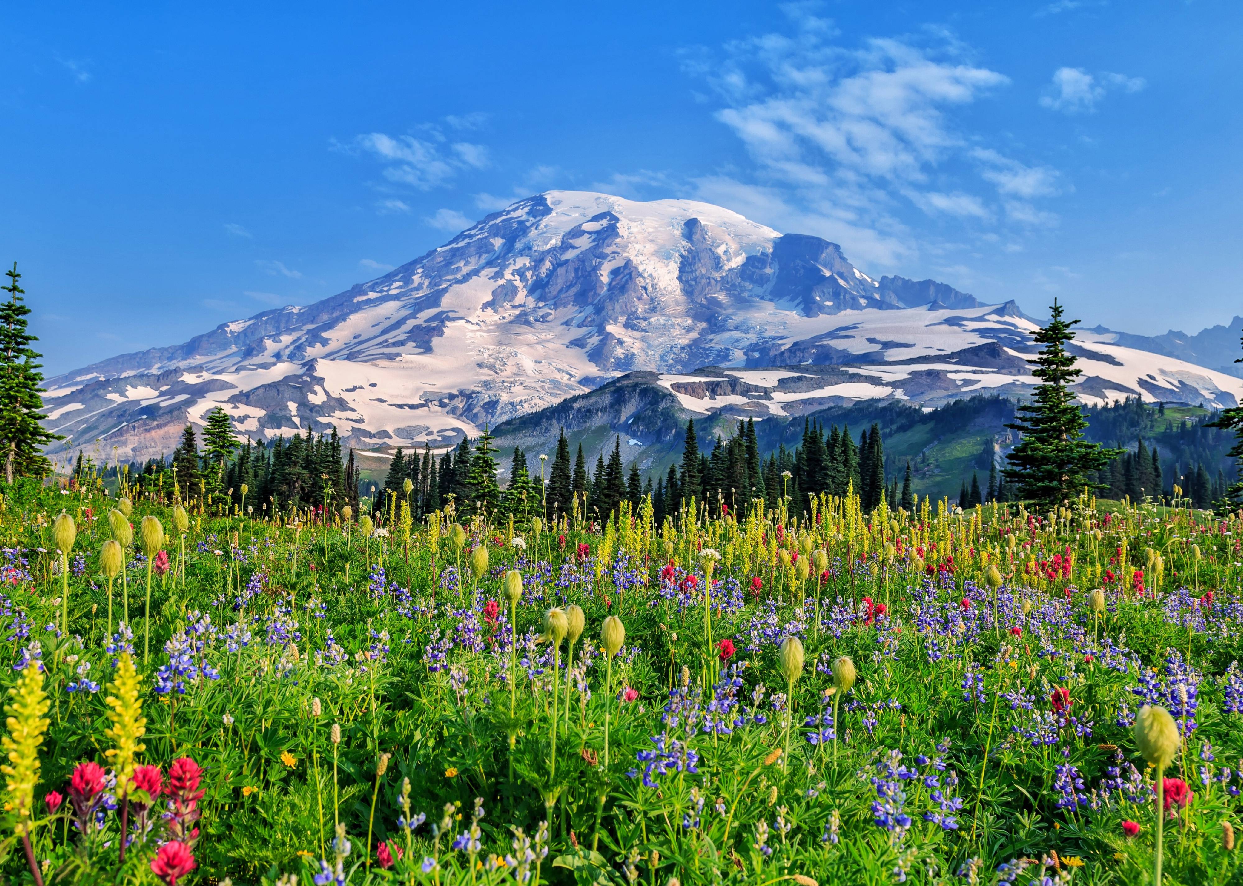 Washington