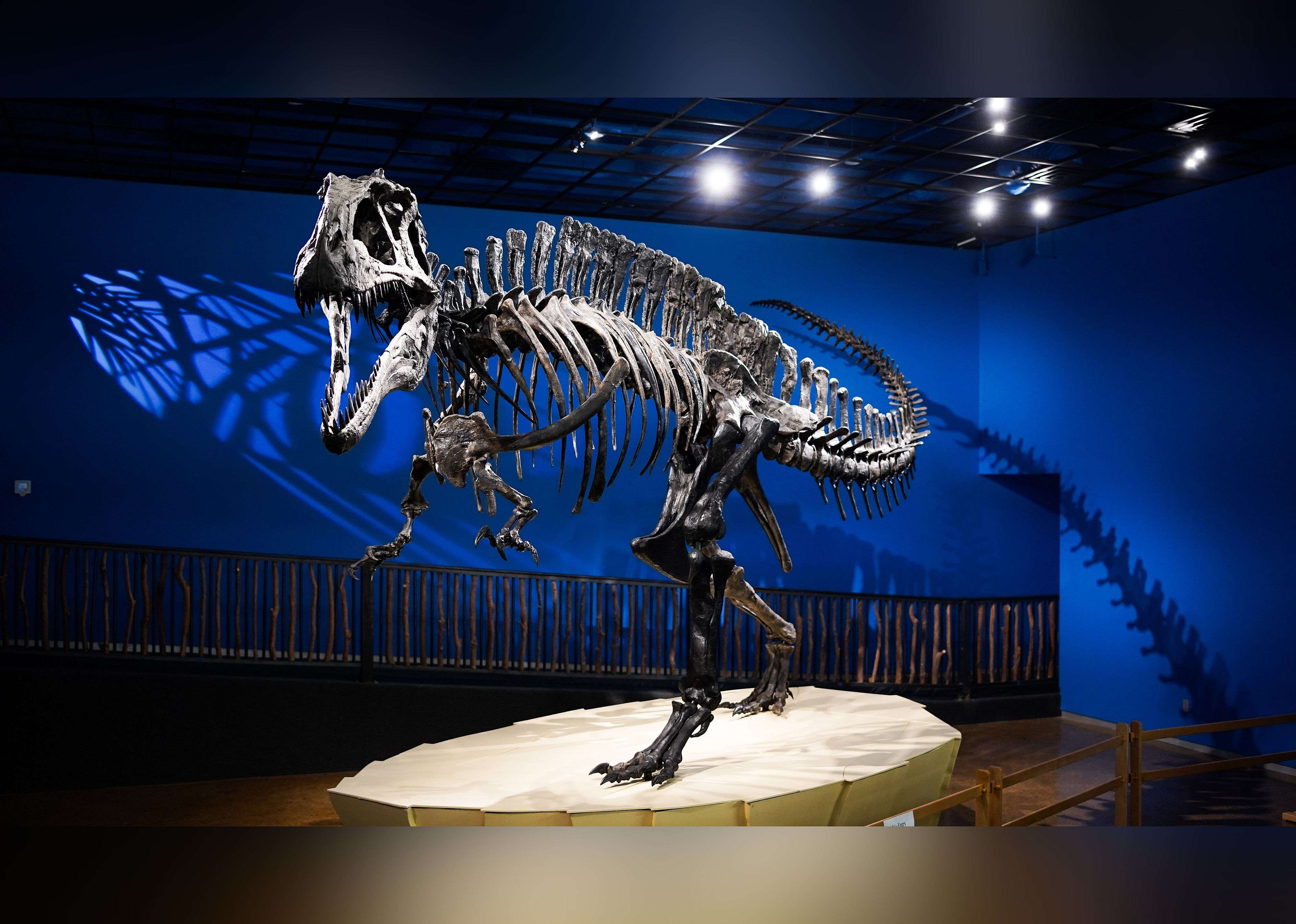 #27. The Museum of the Red River