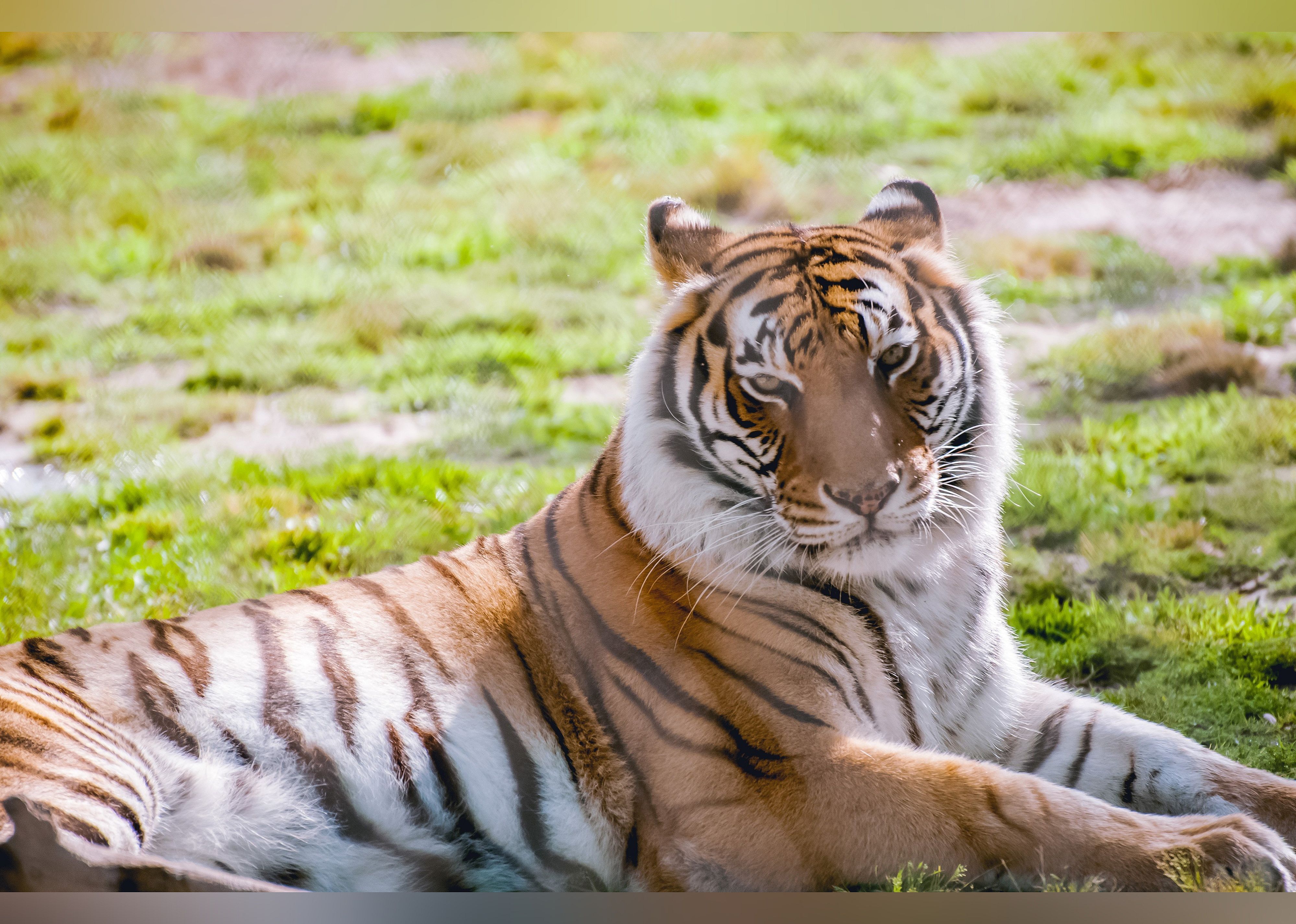 #17. Alabama Gulf Coast Zoo